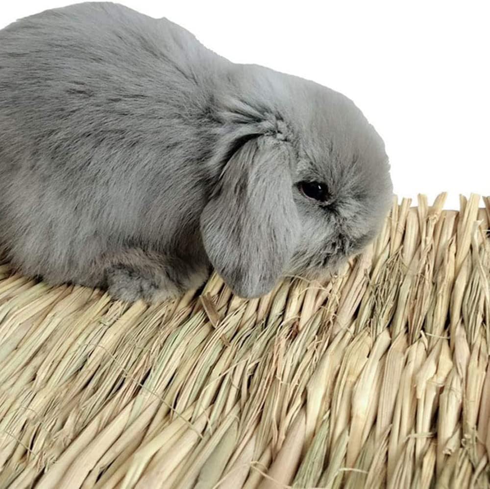 Lot de 4 tapis d'herbe à foin tissée naturelle – Literie pour lapin, doublure de cage comestible, tapis de repos en paille pour cochon d'Inde, rongeur, perroquet, hamster, rat, chinchilla – 30,5 cm