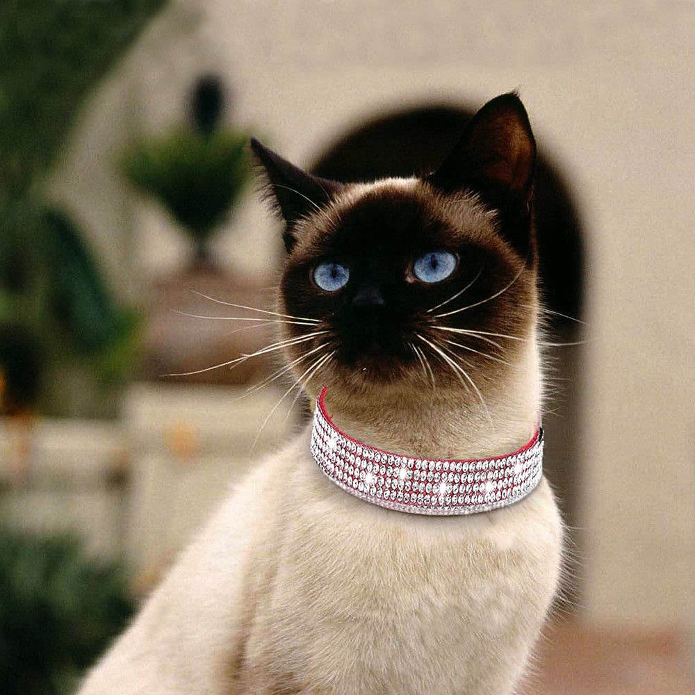 haoyueer Rhinestones Dog Cat Collars with Bell Bling Pet Puppy Collars with Soft Velvet Crystal Collars Girl Jeweled Necklace (Blue) … - Furr-Reel