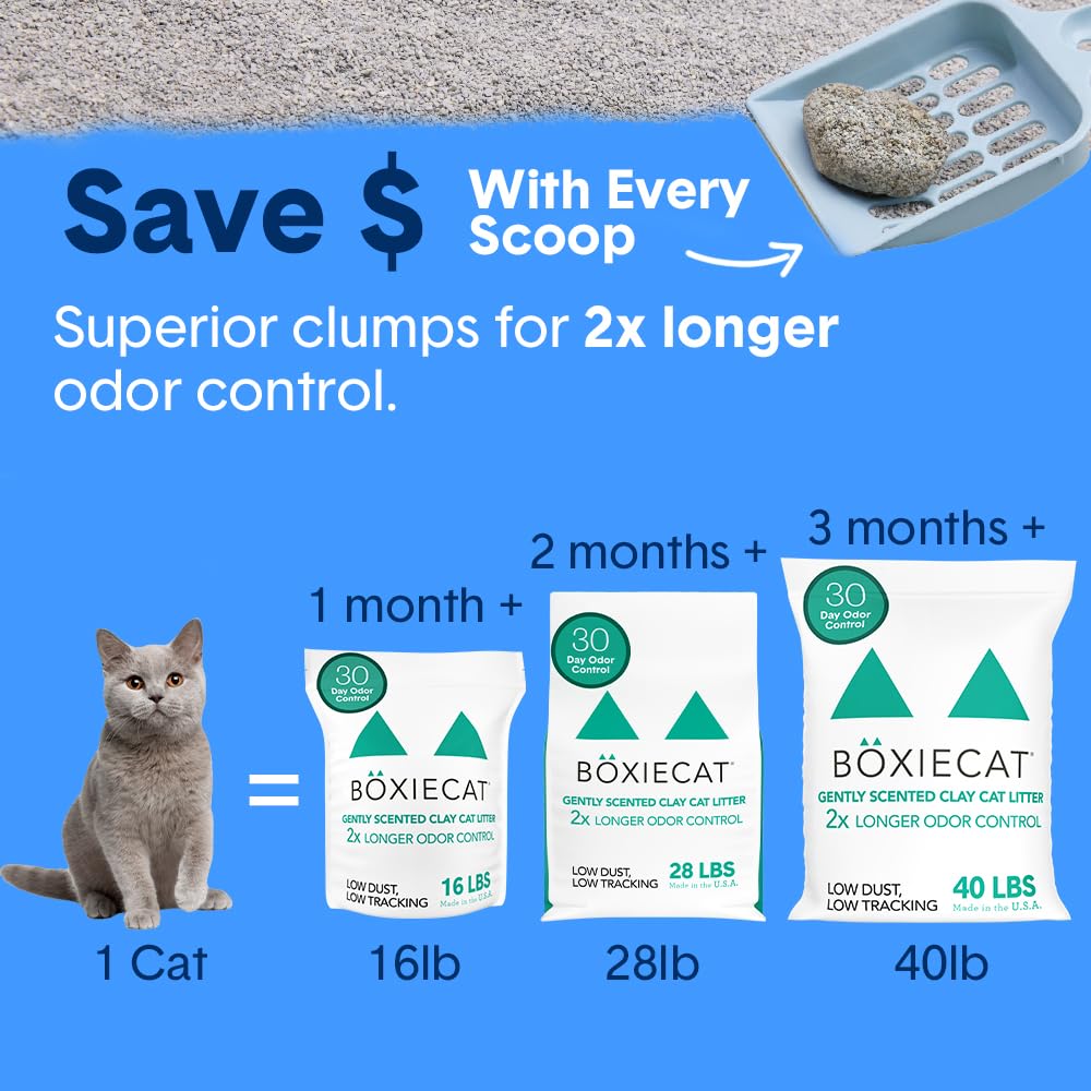 Boxie® Unscented 30 Day Odour Control Clumping Clay Cat & Kitty Litter 16 lb, 99.9% Dust-Free, Hard Flat Top® Clumps, No Fragrances No Fillers, Long-Lasting, Easy to Scoop