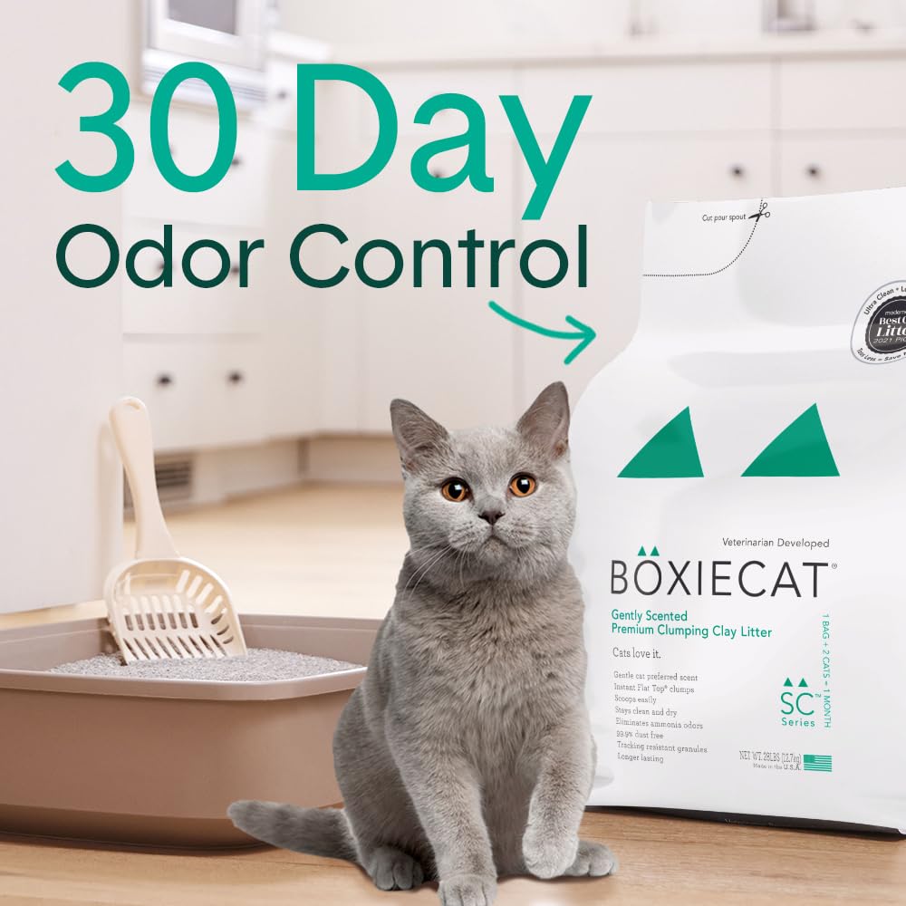 Boxie® Unscented 30 Day Odour Control Clumping Clay Cat & Kitty Litter 16 lb, 99.9% Dust-Free, Hard Flat Top® Clumps, No Fragrances No Fillers, Long-Lasting, Easy to Scoop