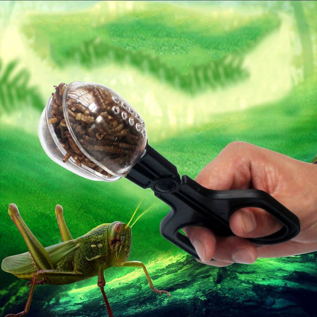 of Reptile Feeding Clamp Reptile Poop Scoop Cage Fish Tank Cleaning Tools Reptile Feeding Tool for Gecko Lizard Bearded Dragon,for Snakes Lizard Tarantulas Reptile Supplies Reptiles and Amphibians Furr-Reel