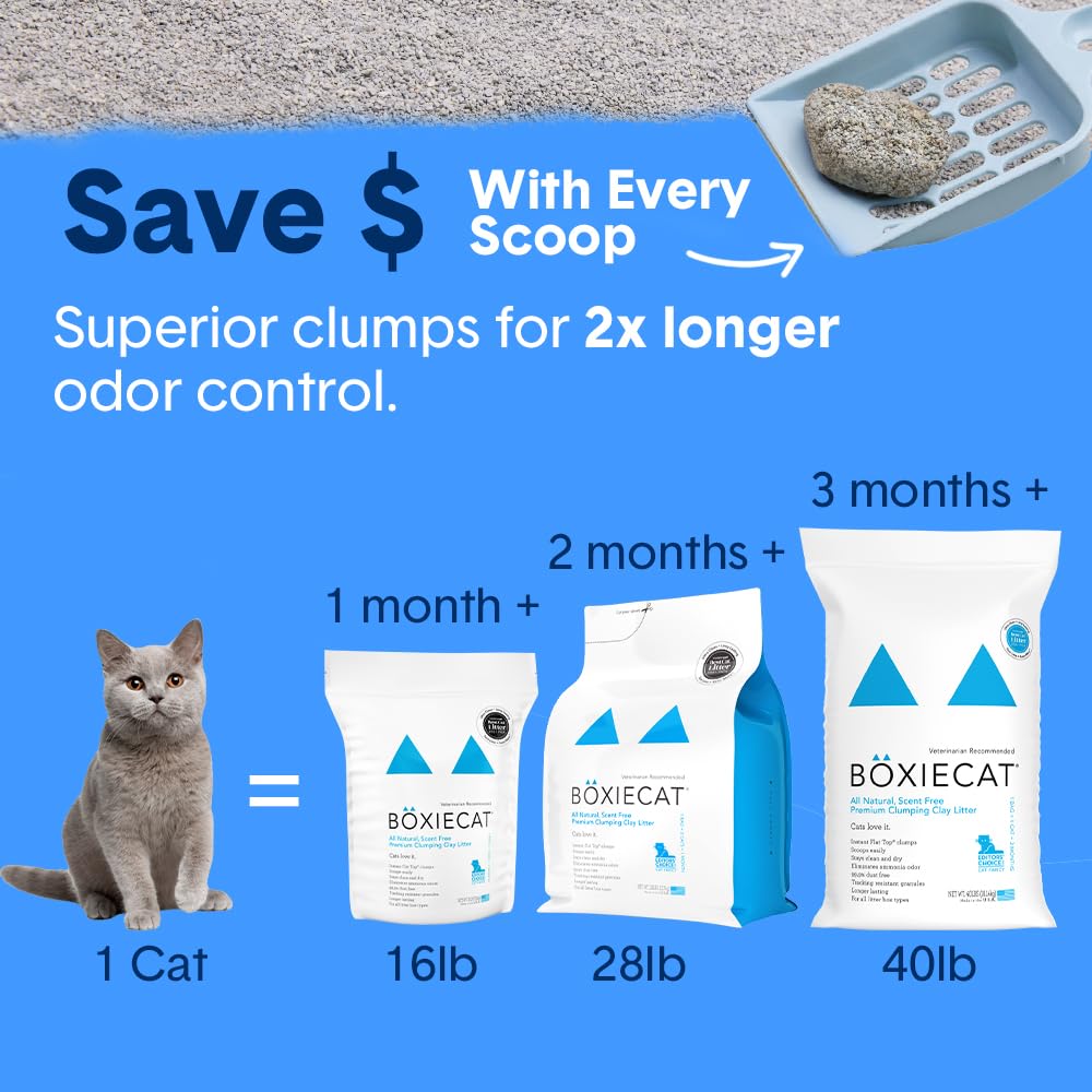Boxie® Unscented 30 Day Odour Control Clumping Clay Cat & Kitty Litter 16 lb, 99.9% Dust-Free, Hard Flat Top® Clumps, No Fragrances No Fillers, Long-Lasting, Easy to Scoop
