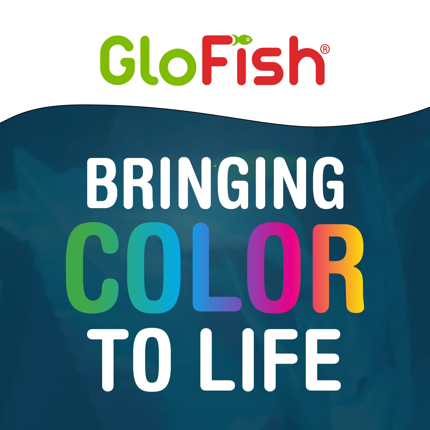 Glofish Aquarium Gravel, Black with Fluorescent Highlights, 5-Pound Bag - Furr-Reel