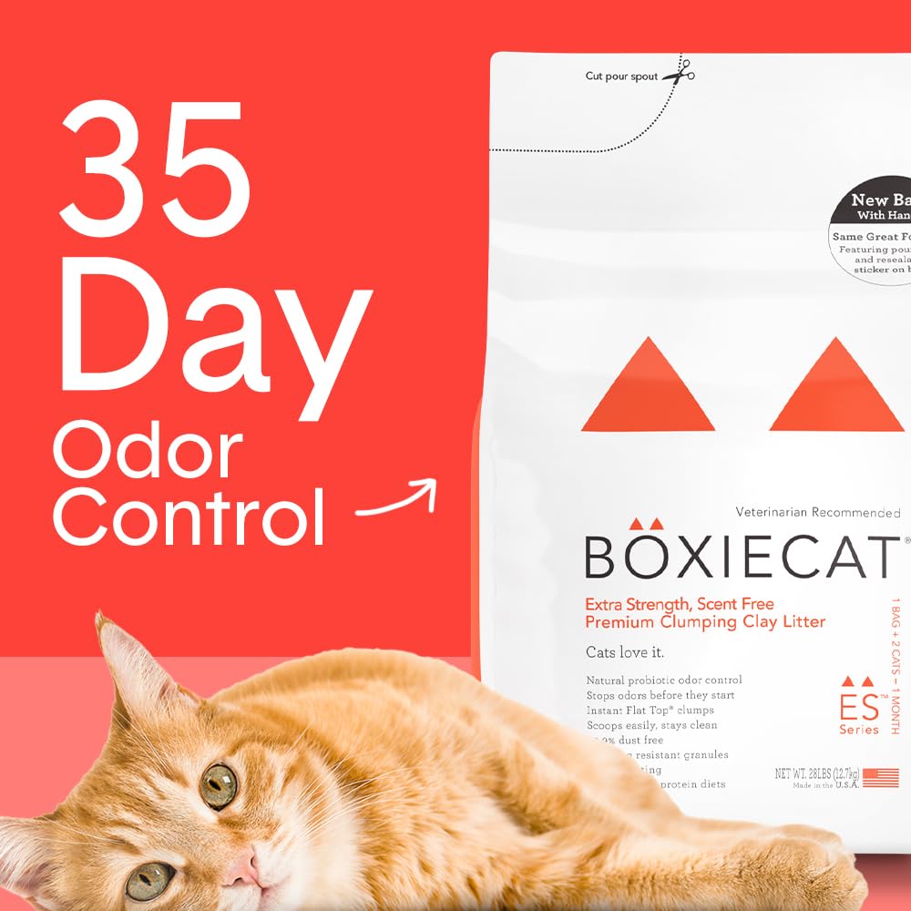 Boxie® Unscented 30 Day Odour Control Clumping Clay Cat & Kitty Litter 16 lb, 99.9% Dust-Free, Hard Flat Top® Clumps, No Fragrances No Fillers, Long-Lasting, Easy to Scoop
