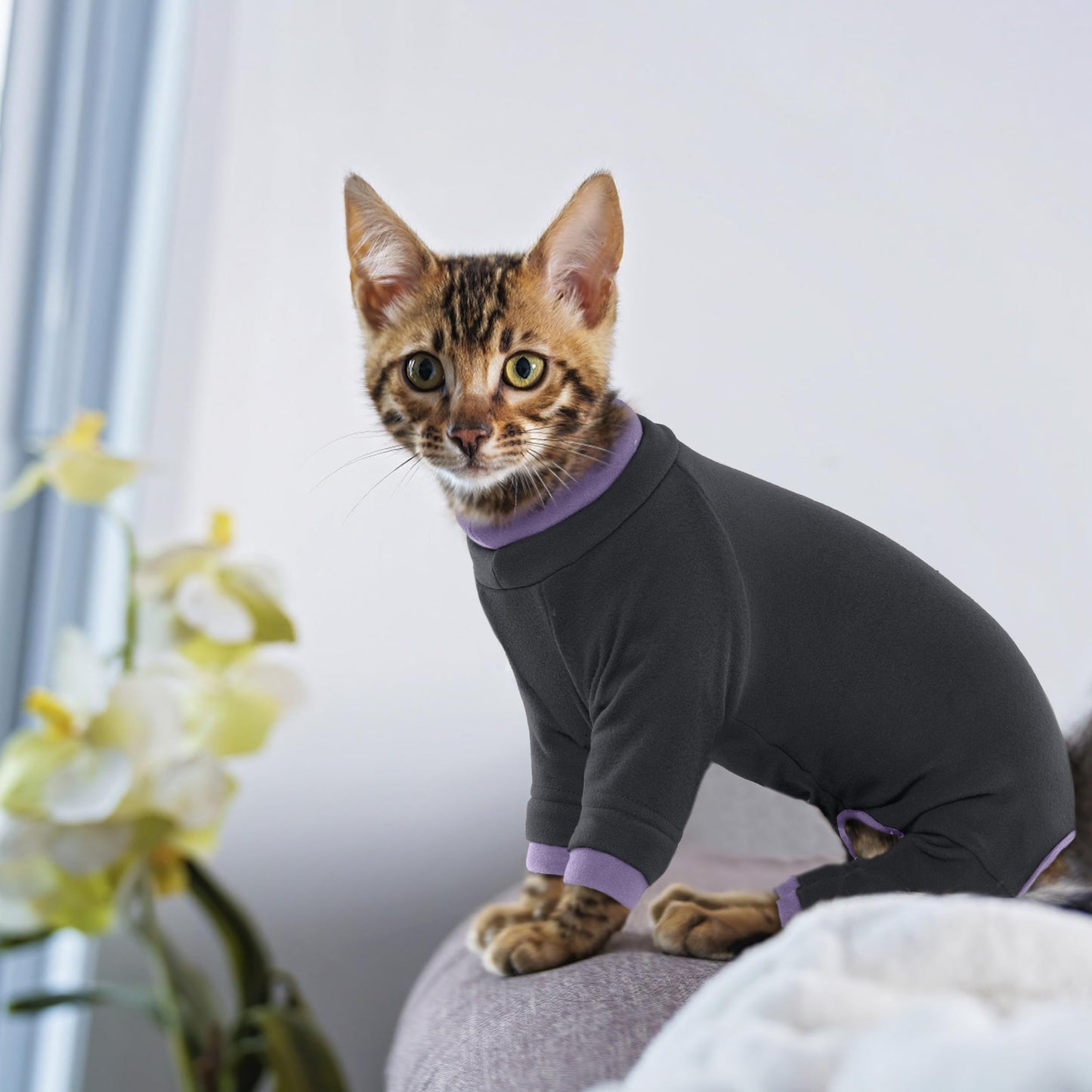 PUMYPOREITY Sticky Cat Clothes - Soft Cat Sweaters & Pajamas for Recovery & Hair Loss Prevention, Green, XS