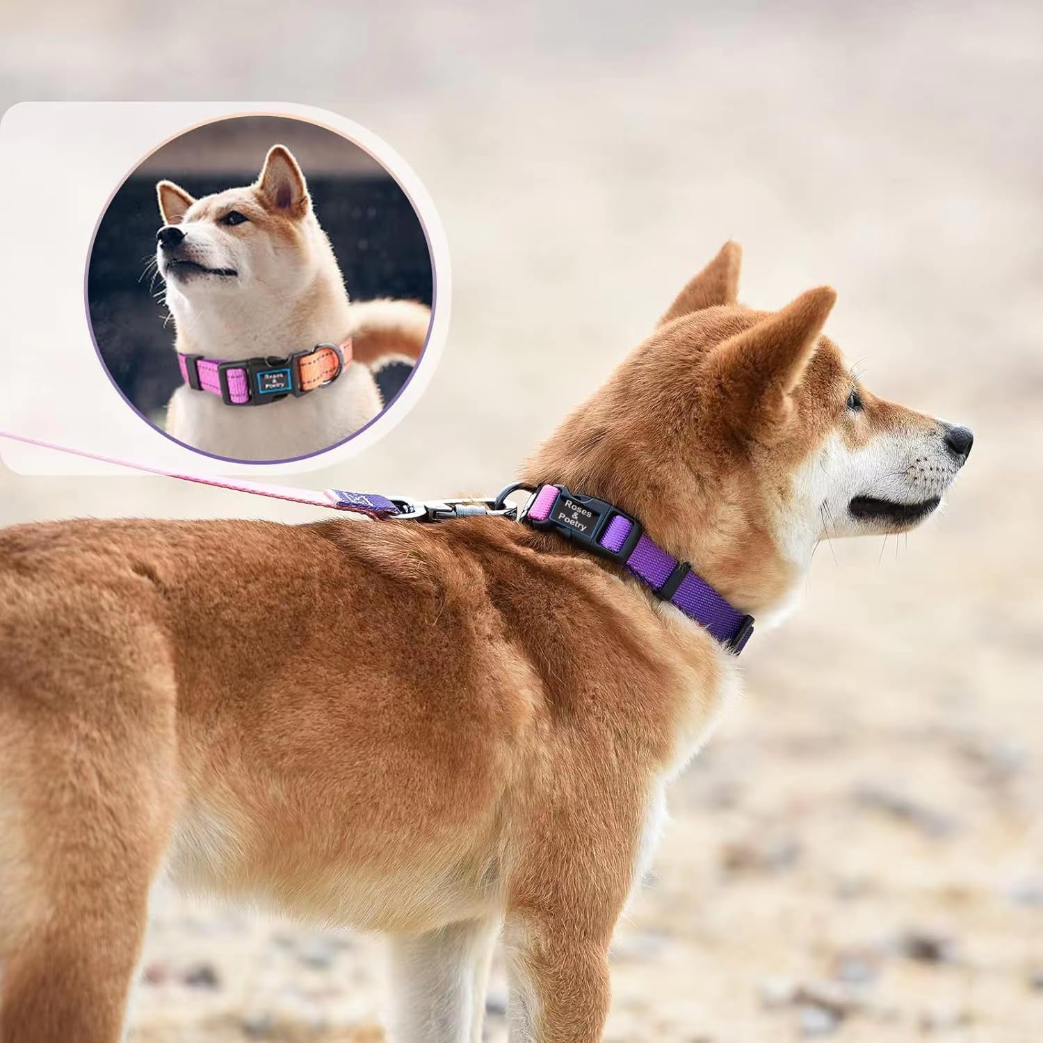 Roses&Poetry Dog Collar and Lead for Small, Adjustable Durable 5ft Puppy Leash Collar for Dog Training Lead (Black & White-S) - Furr-Reel