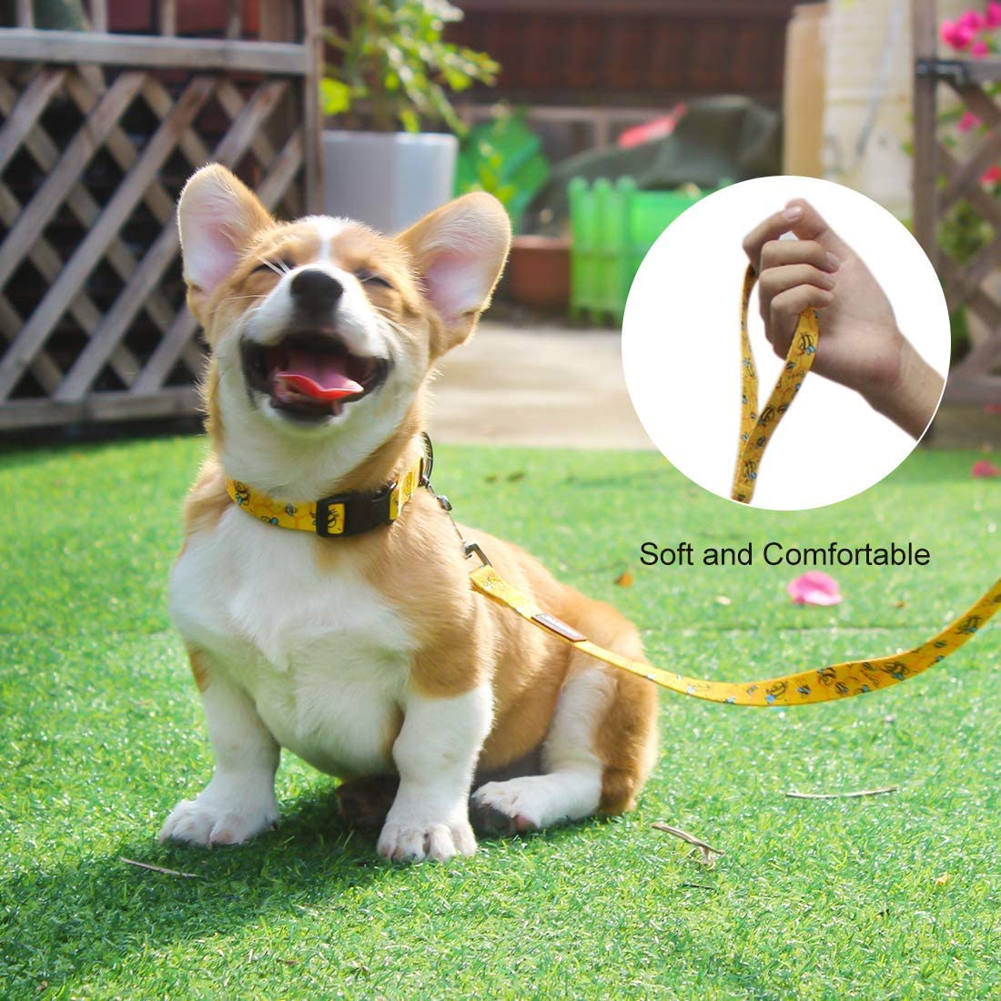Roses&Poetry Dog Collar and Lead for Small, Adjustable Durable 5ft Puppy Leash Collar for Dog Training Lead (Black & White-S) - Furr-Reel