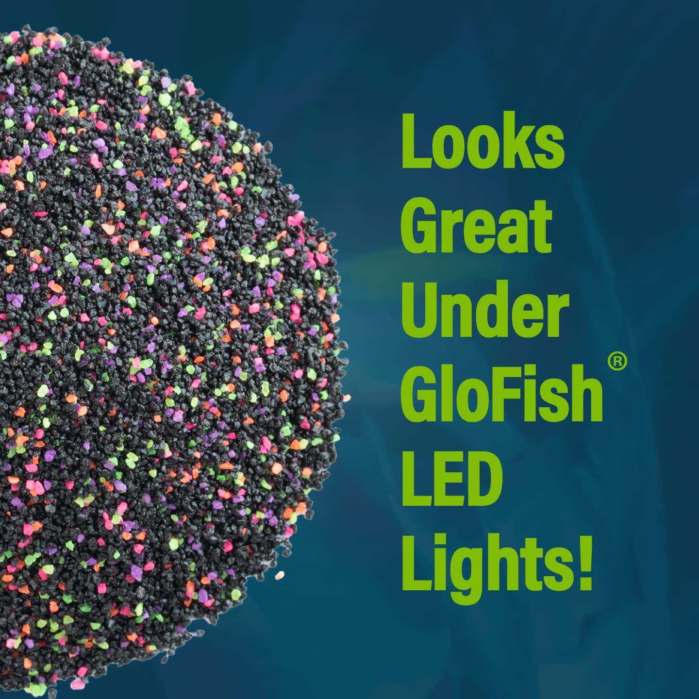 Glofish Aquarium Gravel, Black with Fluorescent Highlights, 5-Pound Bag - Furr-Reel