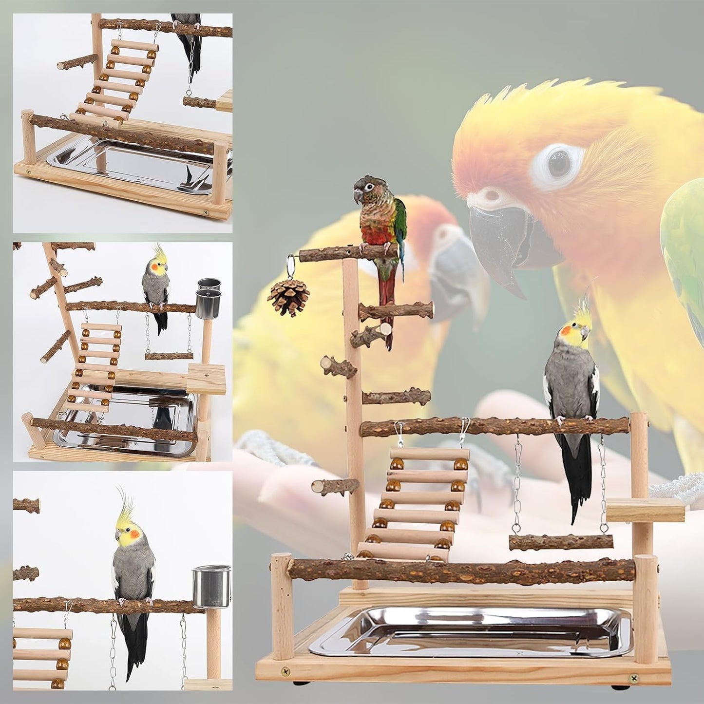 Parrots Bird Wooden Playstand, Birdcage Playground Play Gym, Birds Activity Stand Wood Perch Gym with Feeder Cup and Tray, Parrot Playstand Bird Perches for Pets Birds Play Furr-Reel