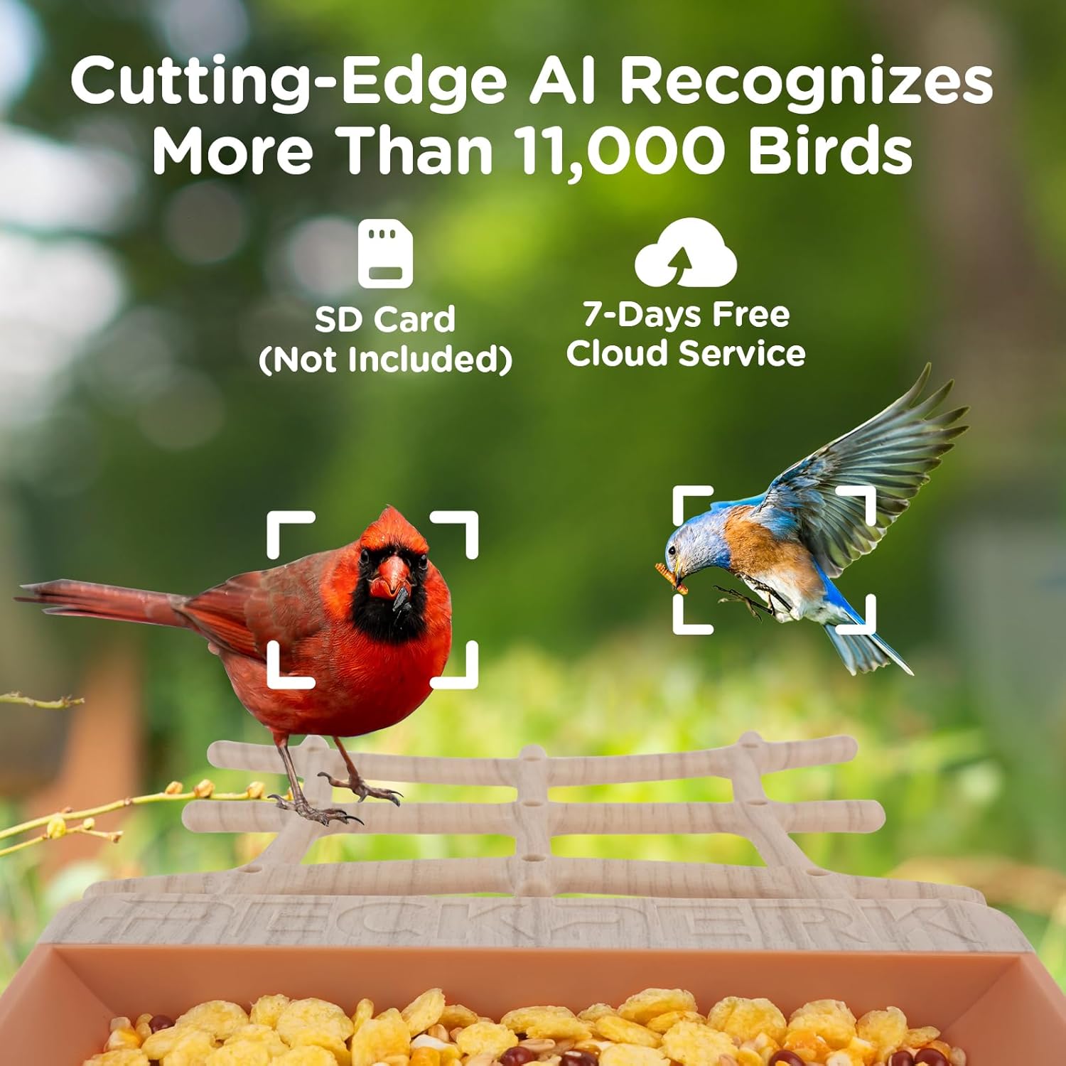 Bird Feeder with Camera Supports AI Identify Bird Species, Smart Bird Feeder,2K Video on Live Watch, Birds Arrival Alert,Solar Powered,Outdoor Bird Camera with Hummingbird Feeder,Gifts for Bird Lovers