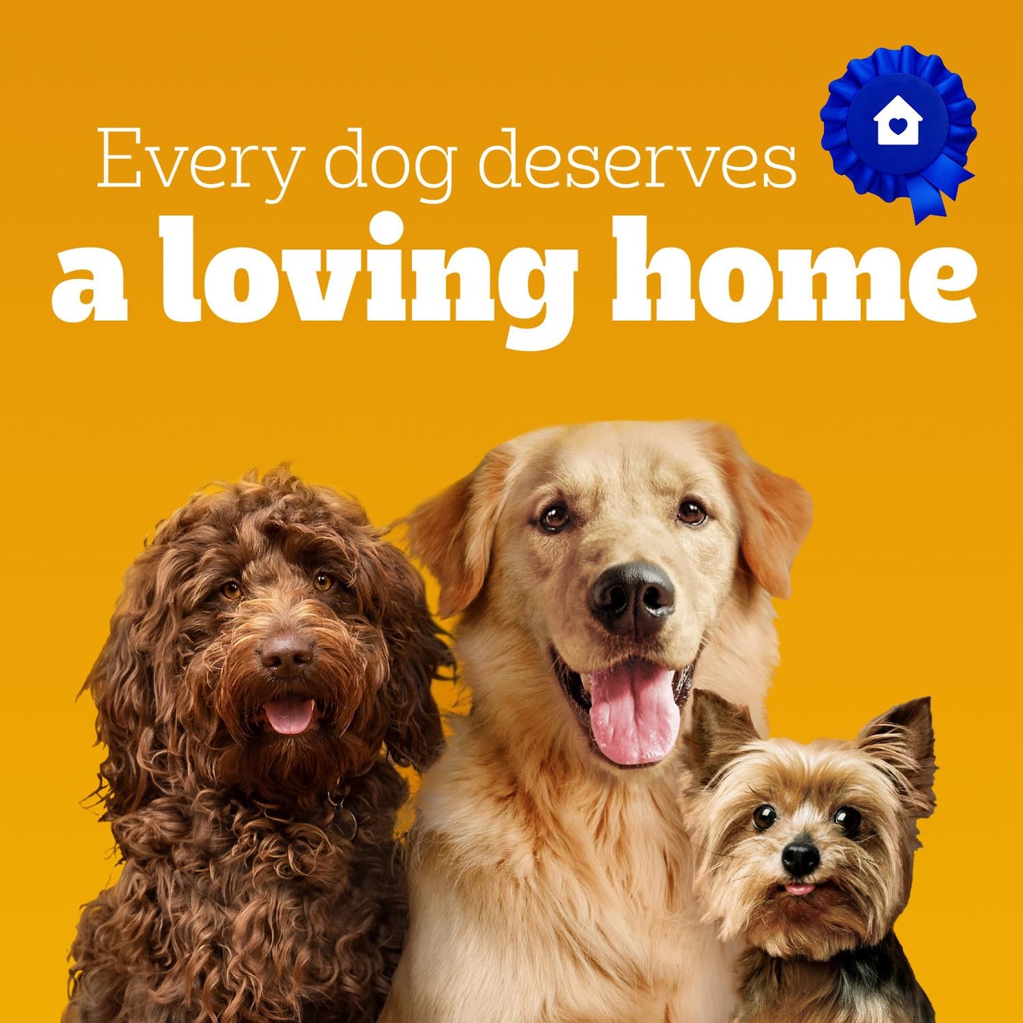 PEDIGREE DENTASTIX Oral Care Beef Flavour Adult Dog Treats - For Medium Breeds - Reduces Plaque and Tartar Buildup - 40 Sticks 972g Pouch