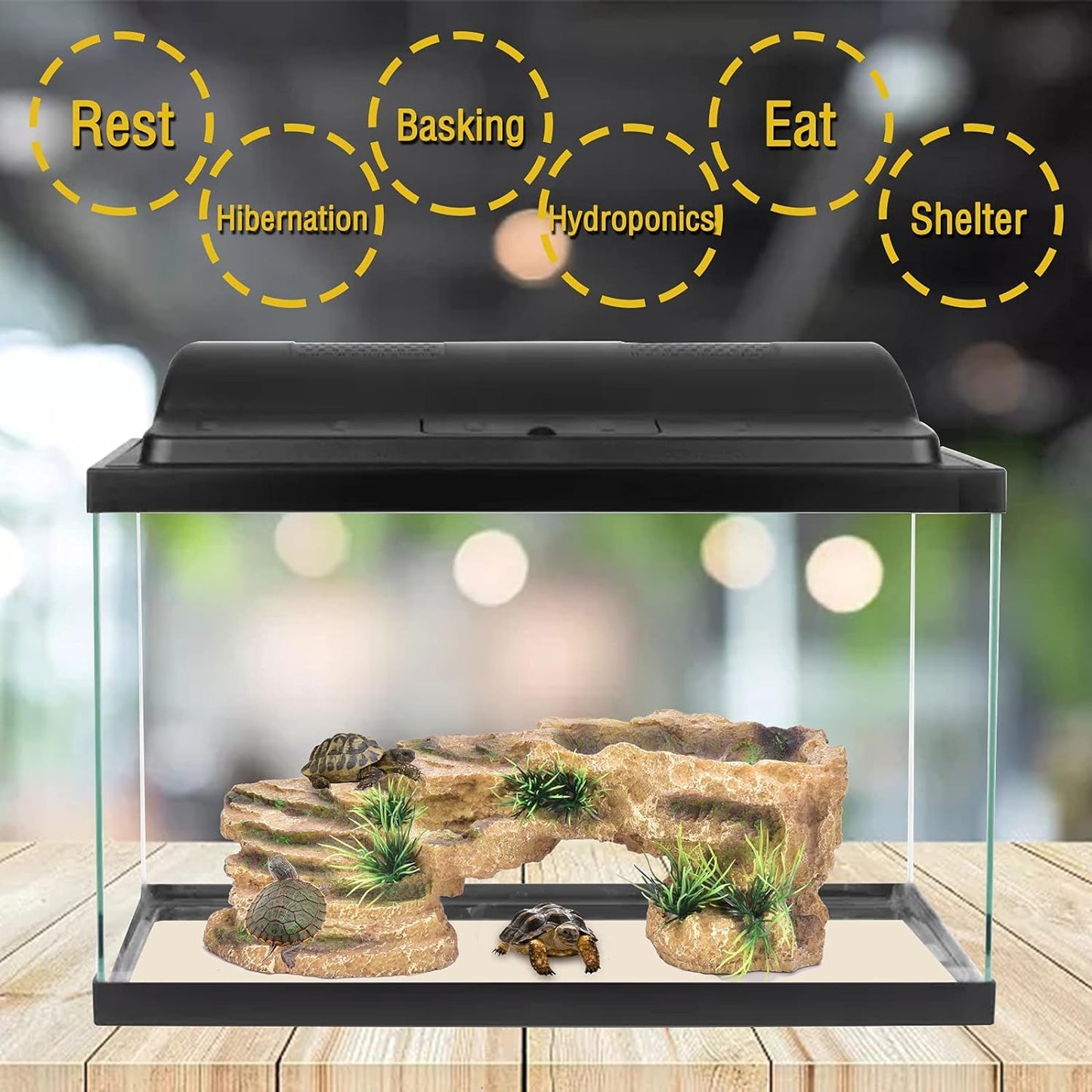 3 in 1 Reptile Hide Cave with Detachable Base & Humidity Dish for Bearded Dragon, Tank Terrarium Decor Humid Hideout for Small Reptiles Crested Gecko, Leopard, Lizard, Snake, Crabs (Hideout 3 in 1)