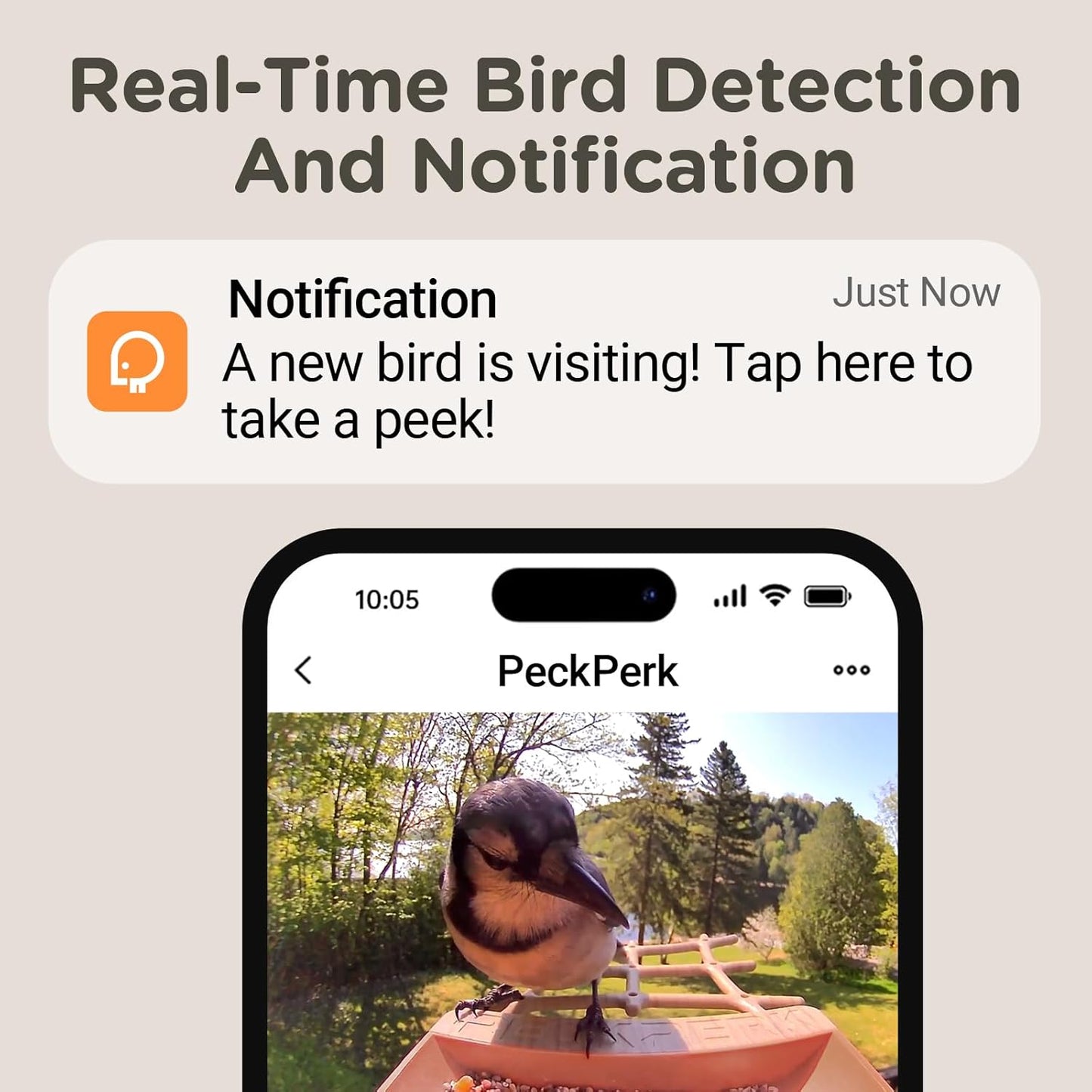 Bird Feeder with Camera Supports AI Identify Bird Species, Smart Bird Feeder,2K Video on Live Watch, Birds Arrival Alert,Solar Powered,Outdoor Bird Camera with Hummingbird Feeder,Gifts for Bird Lovers