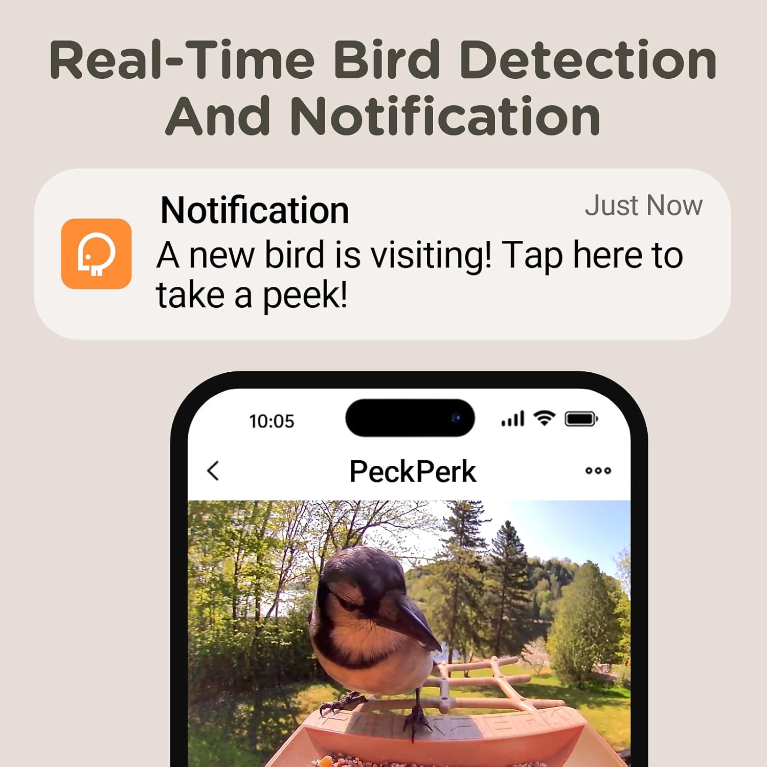 Bird Feeder with Camera Supports AI Identify Bird Species, Smart Bird Feeder,2K Video on Live Watch, Birds Arrival Alert,Solar Powered,Outdoor Bird Camera with Hummingbird Feeder,Gifts for Bird Lovers