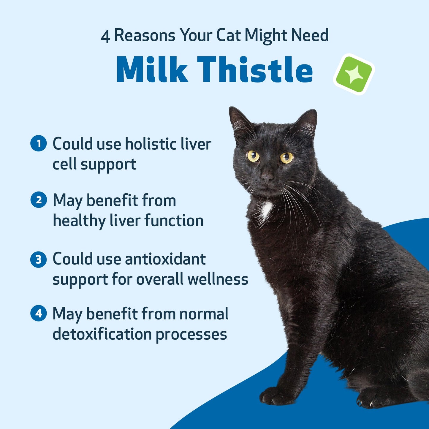 Pet Wellbeing Milk Thistle for Cats - Supports Liver Health, Healthy Detoxification, Antioxidant Support, Liver Cell Support, Silymarins - Herbal Supplement 2 fl oz (59 ml)