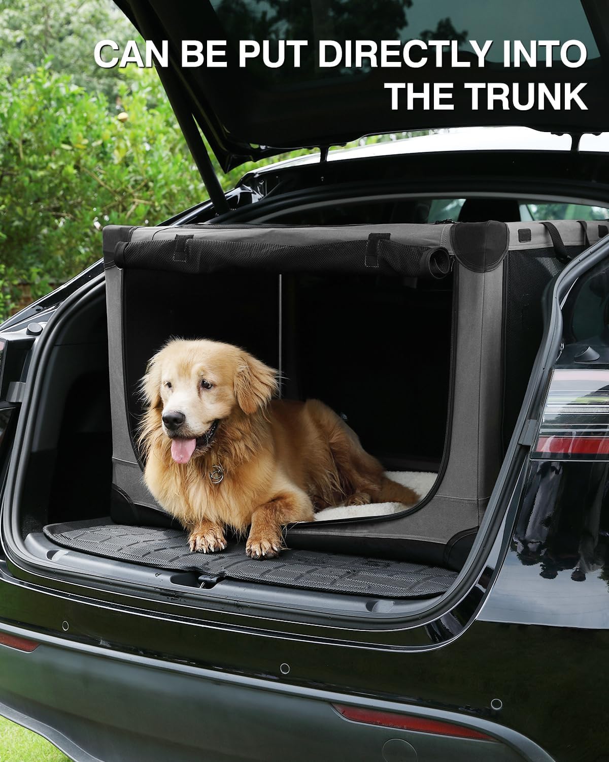 Veraste 30 Inch Collapsible Travel Dog Crate for Medium Large Dogs, Portable Dog Crate 4-Door Foldable Soft Kennel with Chew-Proof Mesh Windows for Indoor & Outdoor, with Storage Bag（Green）