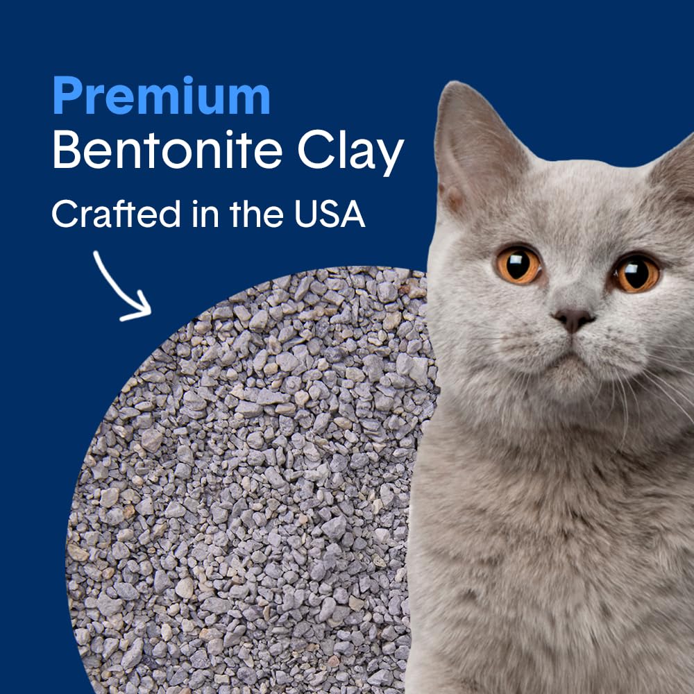 Boxie® Unscented 30 Day Odour Control Clumping Clay Cat & Kitty Litter 16 lb, 99.9% Dust-Free, Hard Flat Top® Clumps, No Fragrances No Fillers, Long-Lasting, Easy to Scoop