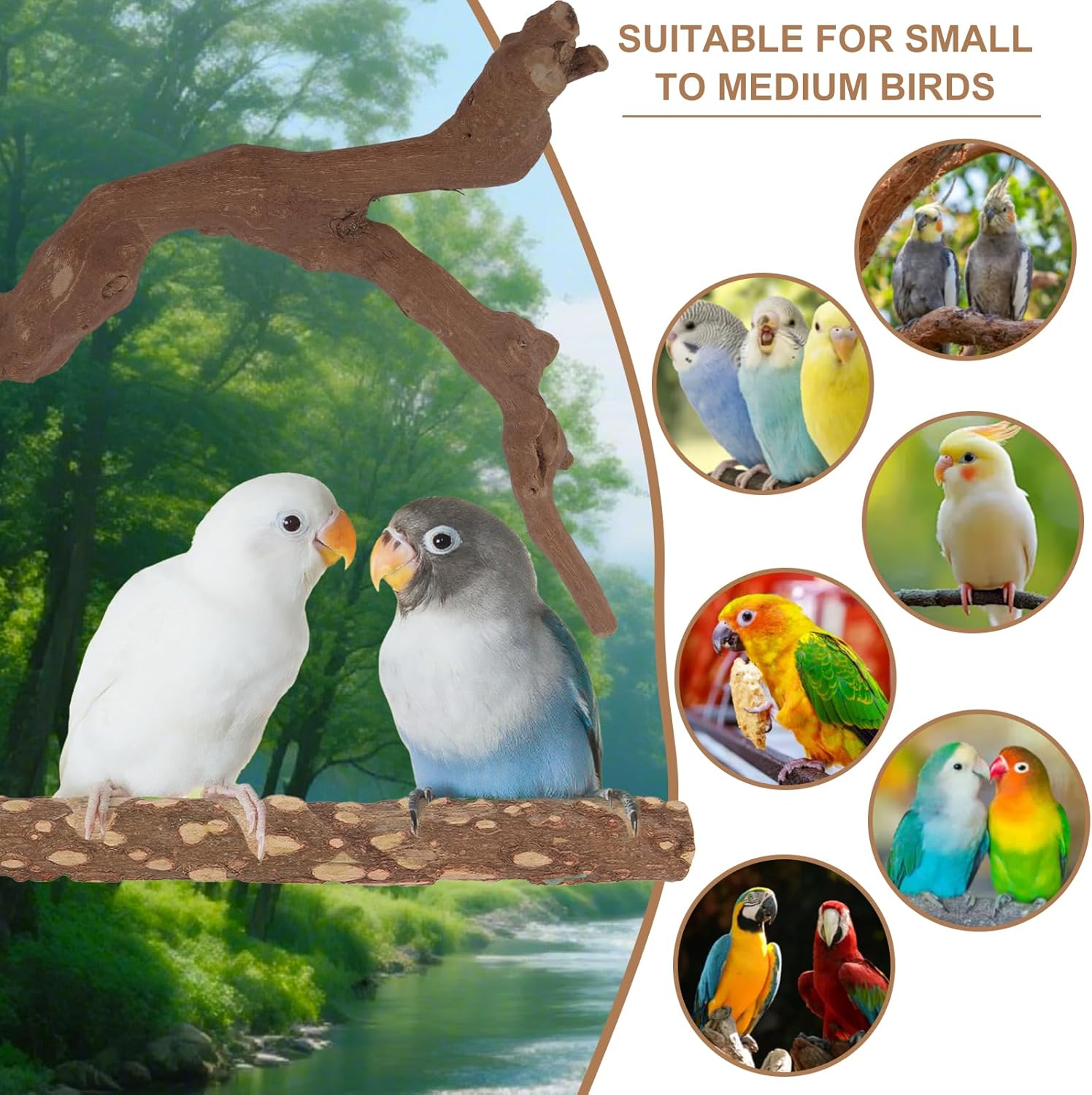 Parrot Perch Bird Perch Stand Set Natural Wild Wood Grape Sticks Paw Grinding Fork Parakeet Climbing Standing Branches Toys Cage Accessories for Conure,Cockatiels Lovebirds,Budgies Chewable 6PC Furr-Reel