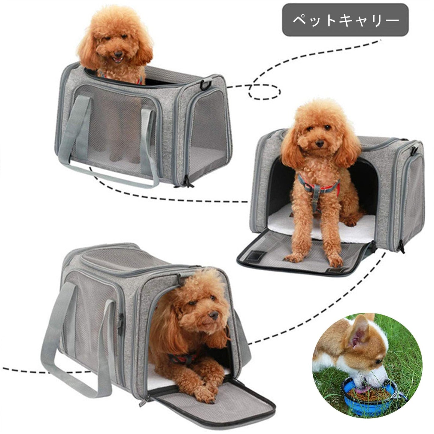 Pet Carrier Airline Approved,Soft Sided Cat Carrier New Upgraded Small Dog Carrier with Lockable Zippers,Breathable Pet Carrier,Dog Carrier for Small Medium Cats Furr-Reel