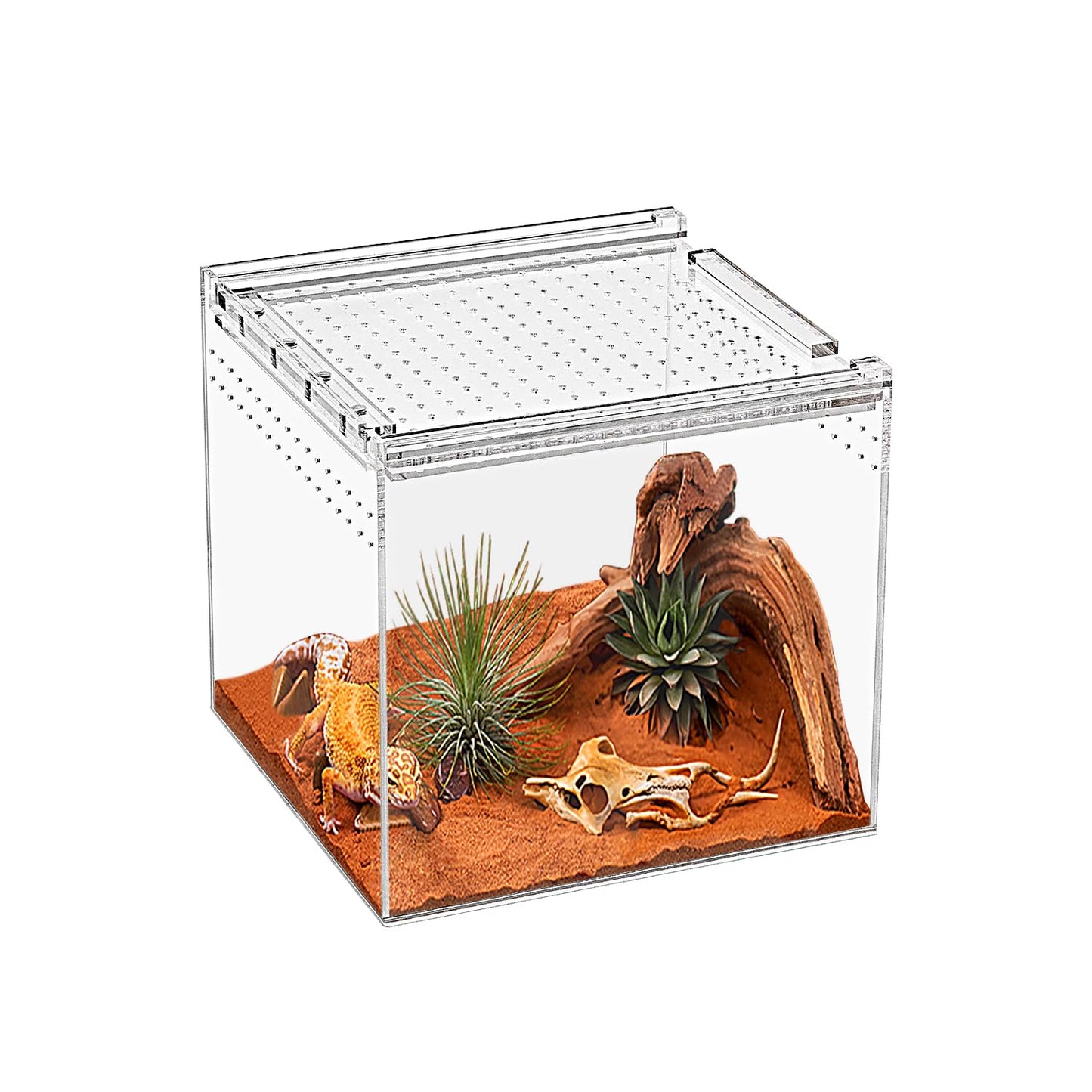 KAKOOTI Reptile Terrarium,6.8" x 6.8"x 6" Reptile Breeding Box, Magnetic Acrylic Enclosure，for Tarantula，Hermit Crab，Jumping Spider，Iguana，Leopard Gecko，Bearded Dragon, Insect, Mantis, Scorpions.