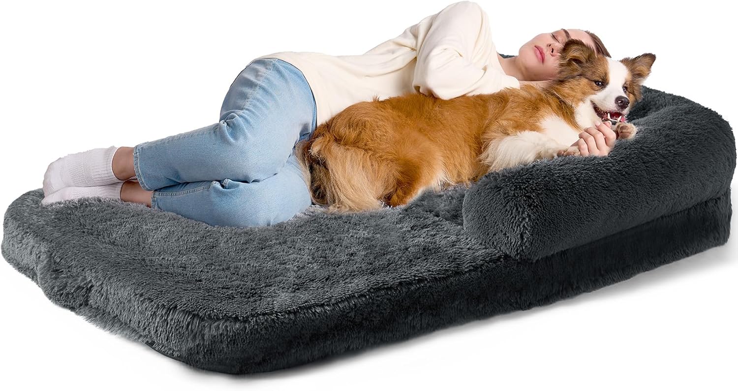 EHEYCIGA Foldable XXL Dog Bed, 54"x38"x7.5" Memory Foam Orthopedic Dog Couch for Extra Large Dogs, Calming Waterproof Pet Sofa with Washable Cover, Human Dog Bed for Kids, Dark Grey - Furr-Reel