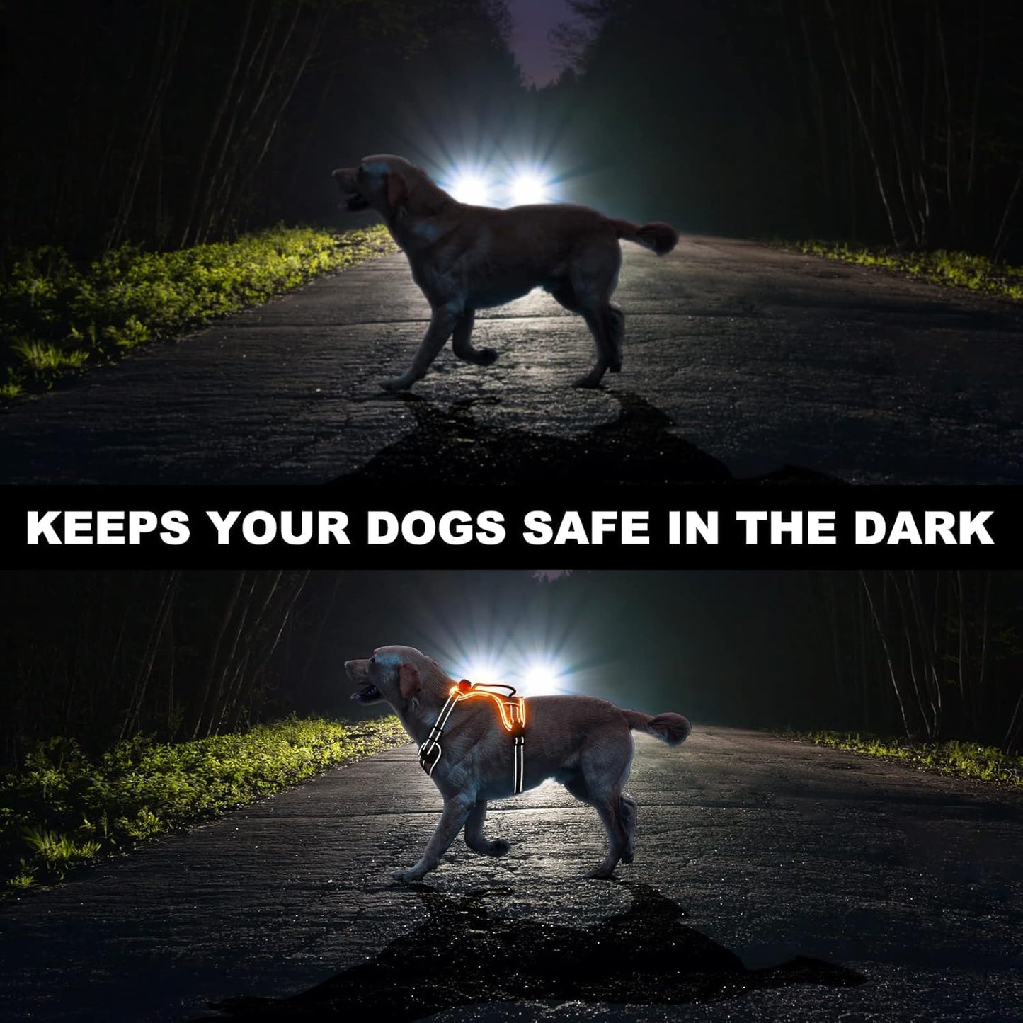 Light Up Dog Harness No Pull, LED Dog Harness with Soft Handle Rechargeable, Lighted Glowing Pet Vest Harness for Large Dogs Night Walking, Reflective/4 Point Adjustable/High Visibility - Orange, L Furr-Reel