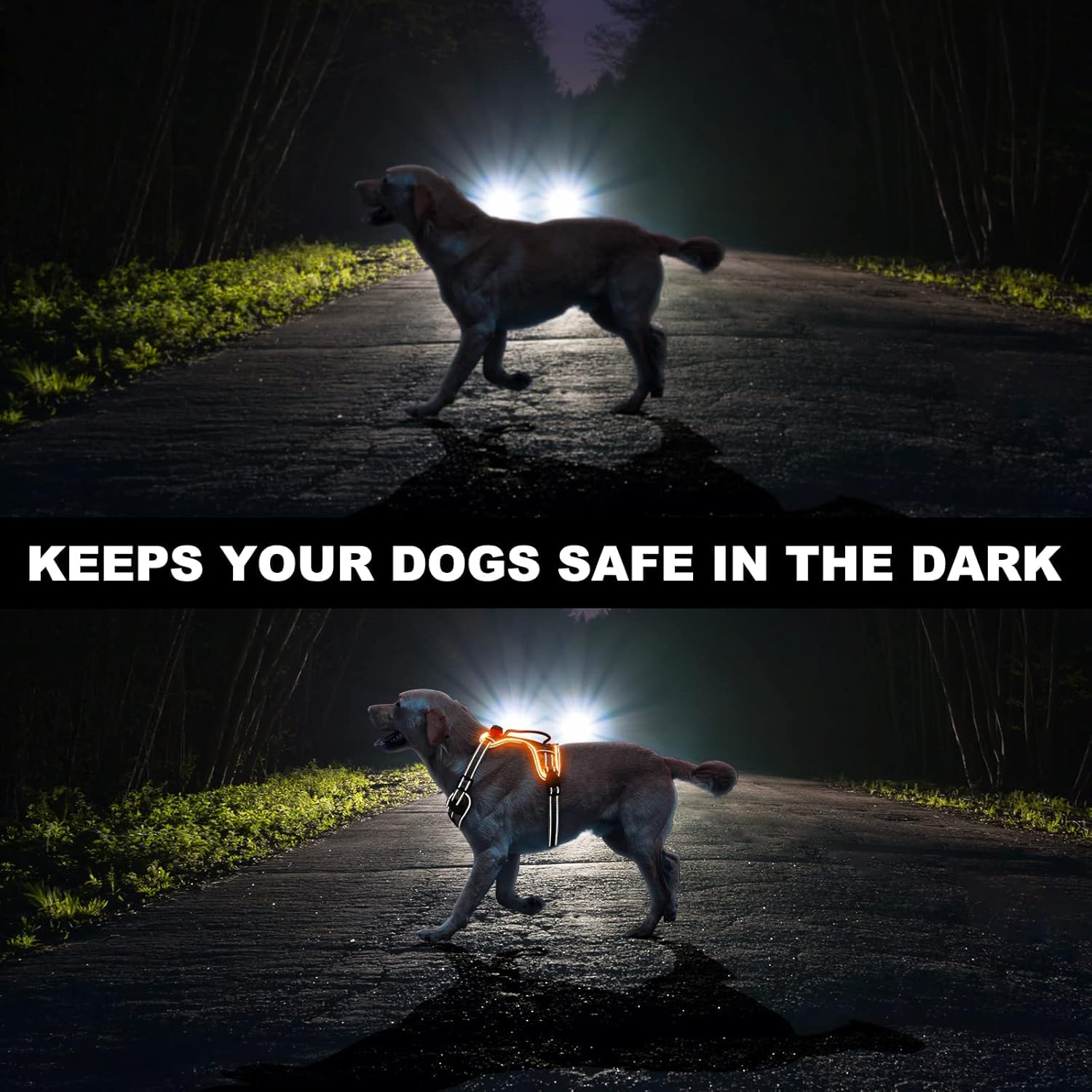 Light Up Dog Harness No Pull, LED Dog Harness with Soft Handle Rechargeable, Lighted Glowing Pet Vest Harness for Large Dogs Night Walking, Reflective/4 Point Adjustable/High Visibility - Orange, L Furr-Reel