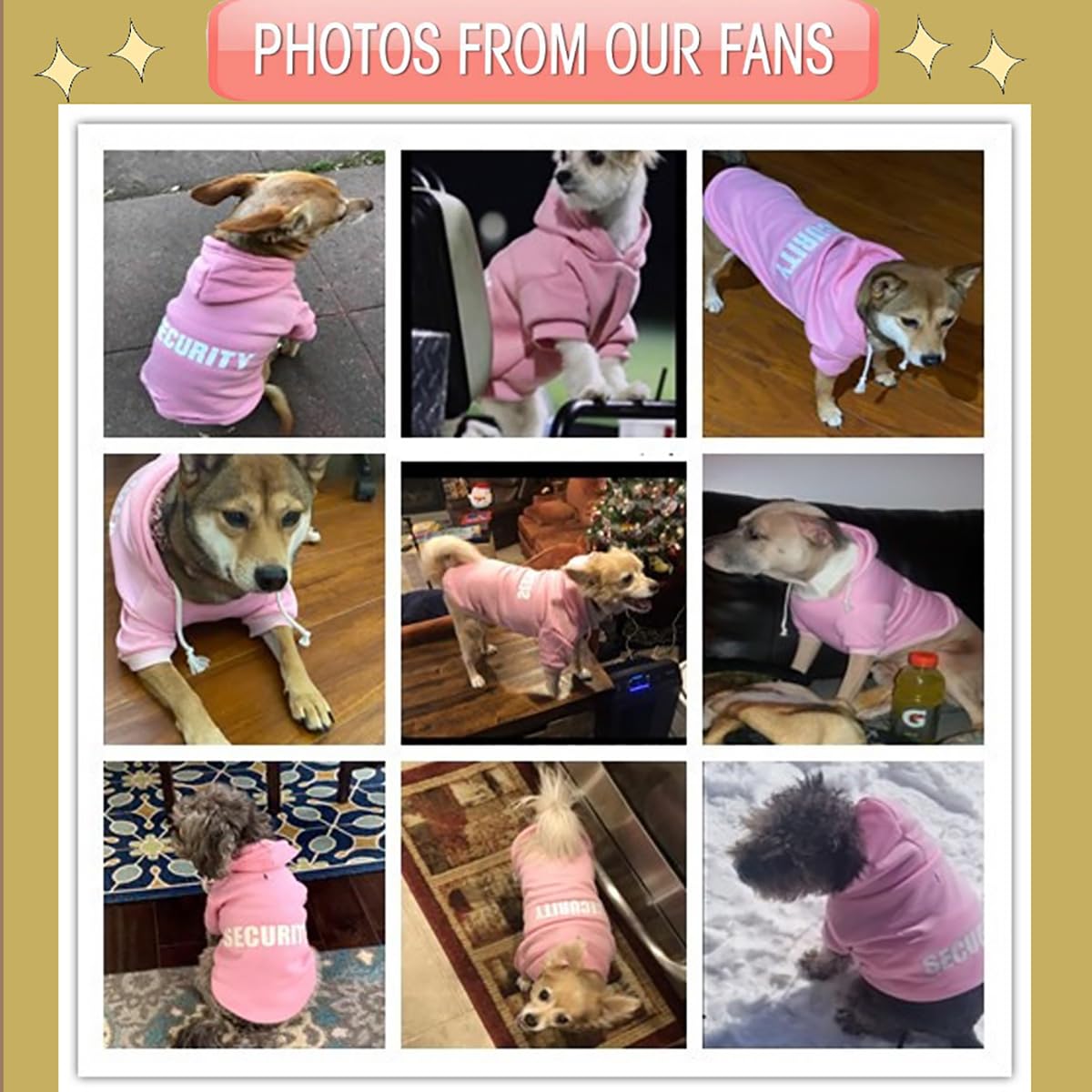 Dog Hoodies Clothes Security Rdc Pet Apparel Winter Sweatshirt Warm Sweater Cotton Jacket Coat Hoodie for Samll Dog Medium Large Cat Black, M - Furr-Reel