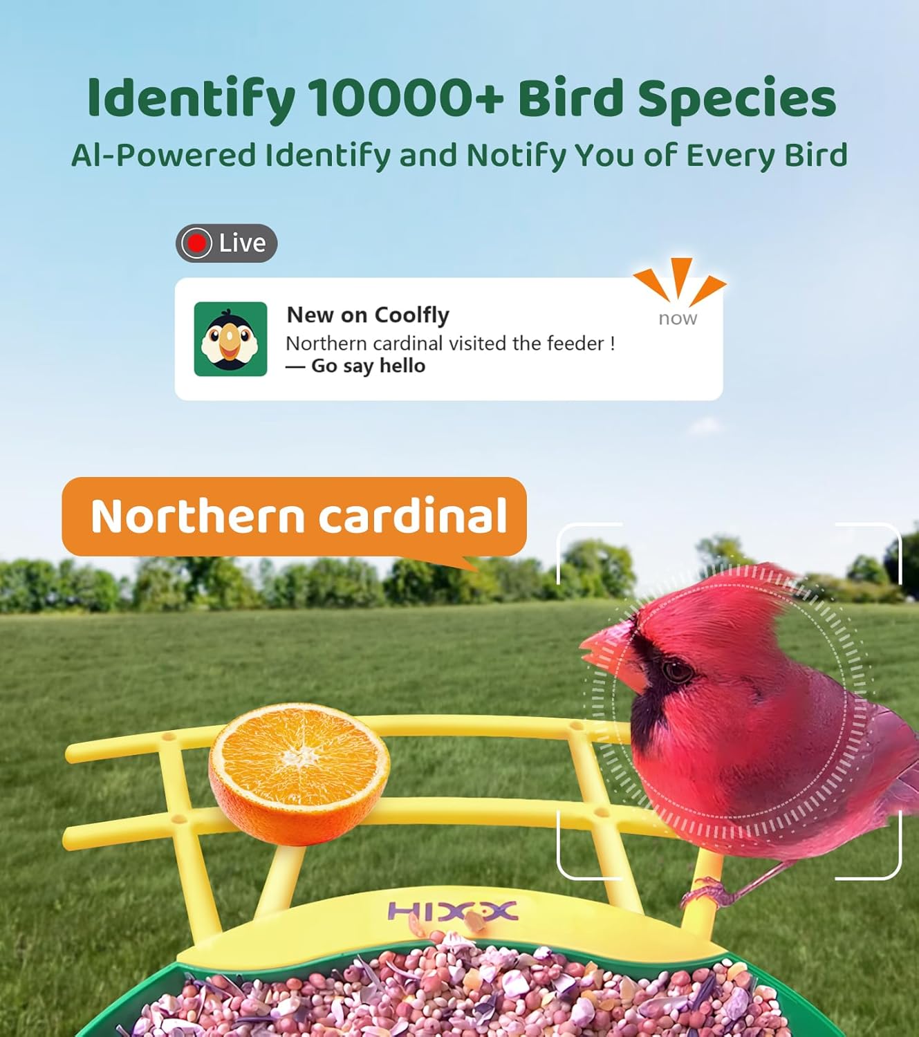 HIXX® Smart Bird Feeder Camera, Lifetime Free AI Bird ID Bird Feeder for Outdoors with Solar Panel, Auto Bird Video Capture & Instant Notifications, Birdwatching Camera with Feeder for Bird Lovers