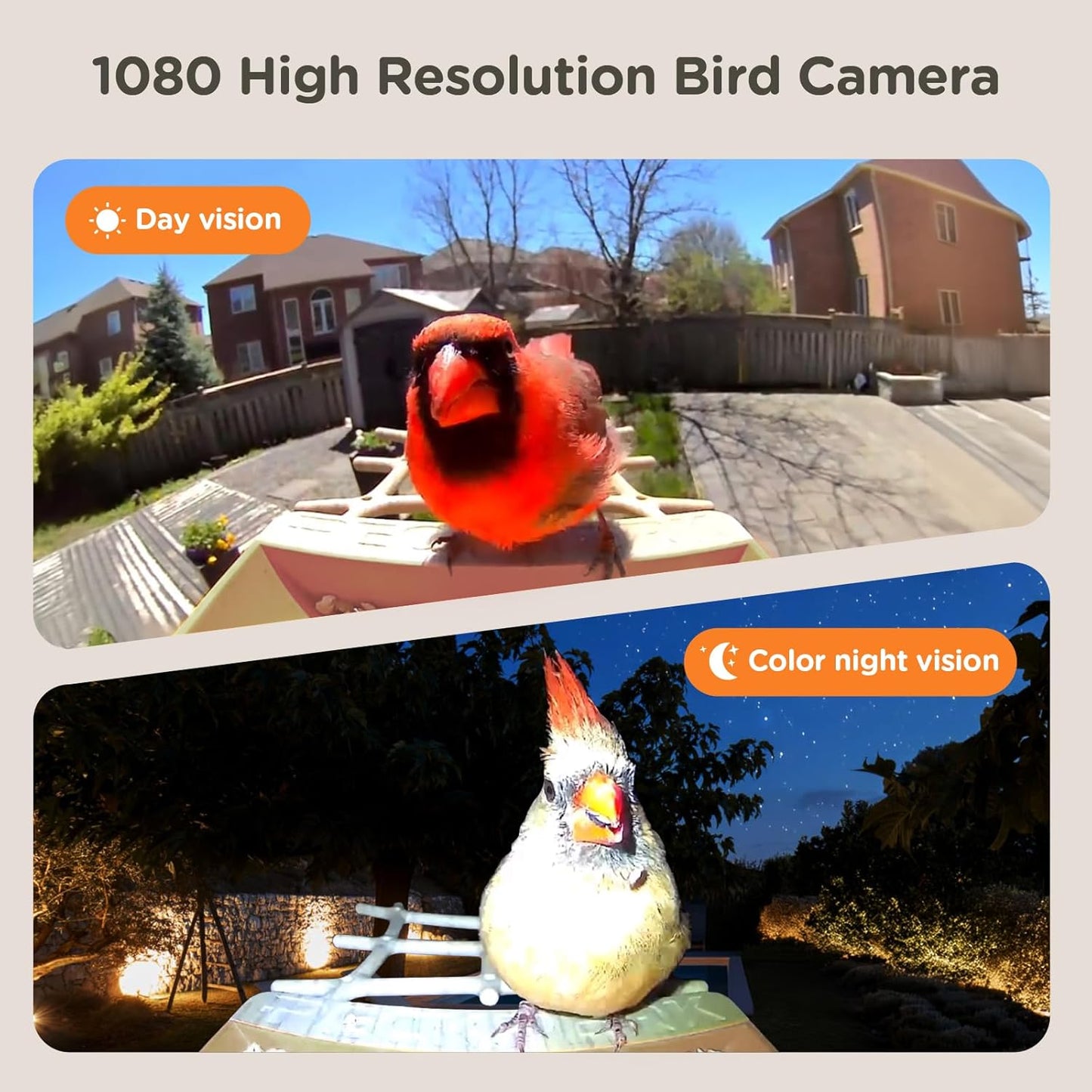 Bird Feeder with Camera Supports AI Identify Bird Species, Smart Bird Feeder,2K Video on Live Watch, Birds Arrival Alert,Solar Powered,Outdoor Bird Camera with Hummingbird Feeder,Gifts for Bird Lovers