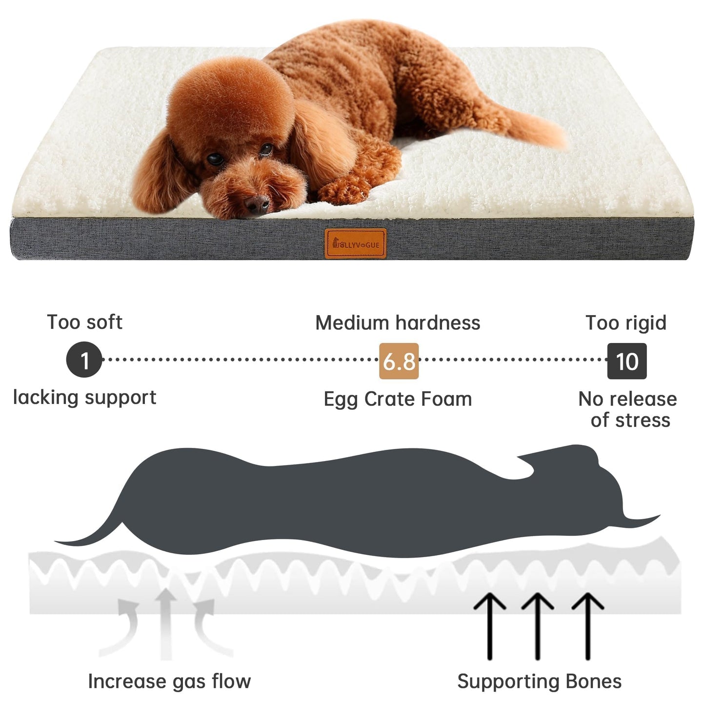 JOLLYVOGUE Dog Bed Large, Orthopedic Dog Bed Support Egg Crate Foam Dog Beds, Soft & Cozy Pet Bed Mat with Removable Washable Cover (Large, Dark Grey, Up to 75 lbs)