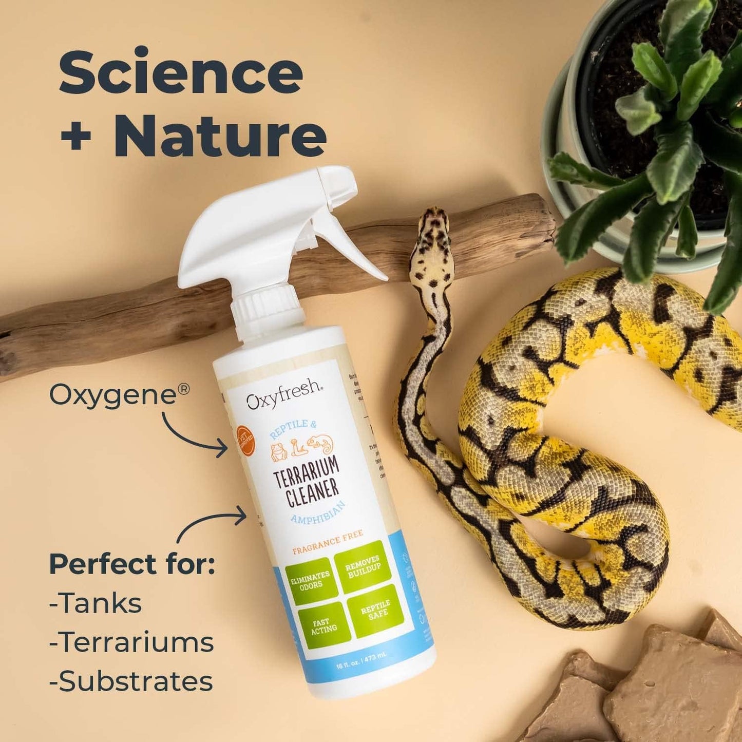 Oxyfresh Premium Terrarium Cleaner – Professional Amphibian & Reptile Terrarium Smell Eliminator – Safe & Quickly Removes Waste & Odors – Streak Free Glass – Bleach Free Furr-Reel