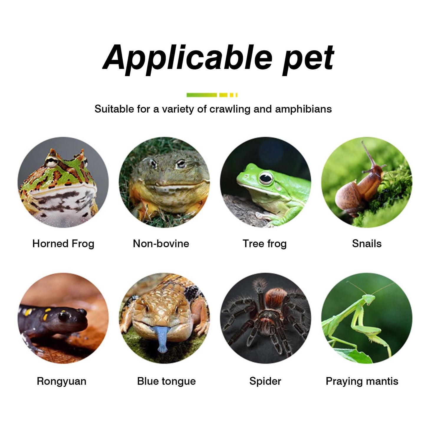 Crawling Pet Carpet, Lizards Reptile Substrate Terrarium, Grass-Like Touch Reptile Carpet - Strong Water Absorption Mat Supplies for Terrarium Bedding Substrate Liner Cuttable Size - Furr-Reel