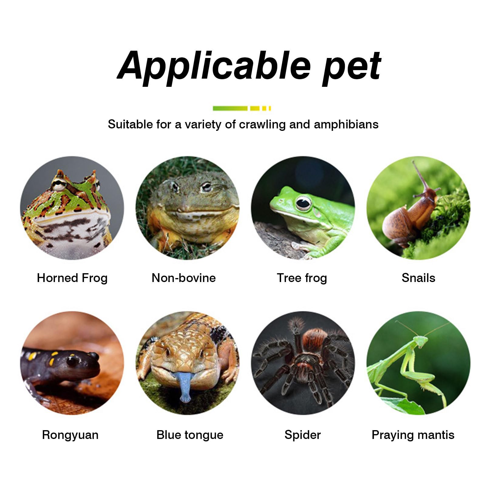 Crawling Pet Carpet, Lizards Reptile Substrate Terrarium, Grass-Like Touch Reptile Carpet - Strong Water Absorption Mat Supplies for Terrarium Bedding Substrate Liner Cuttable Size - Furr-Reel