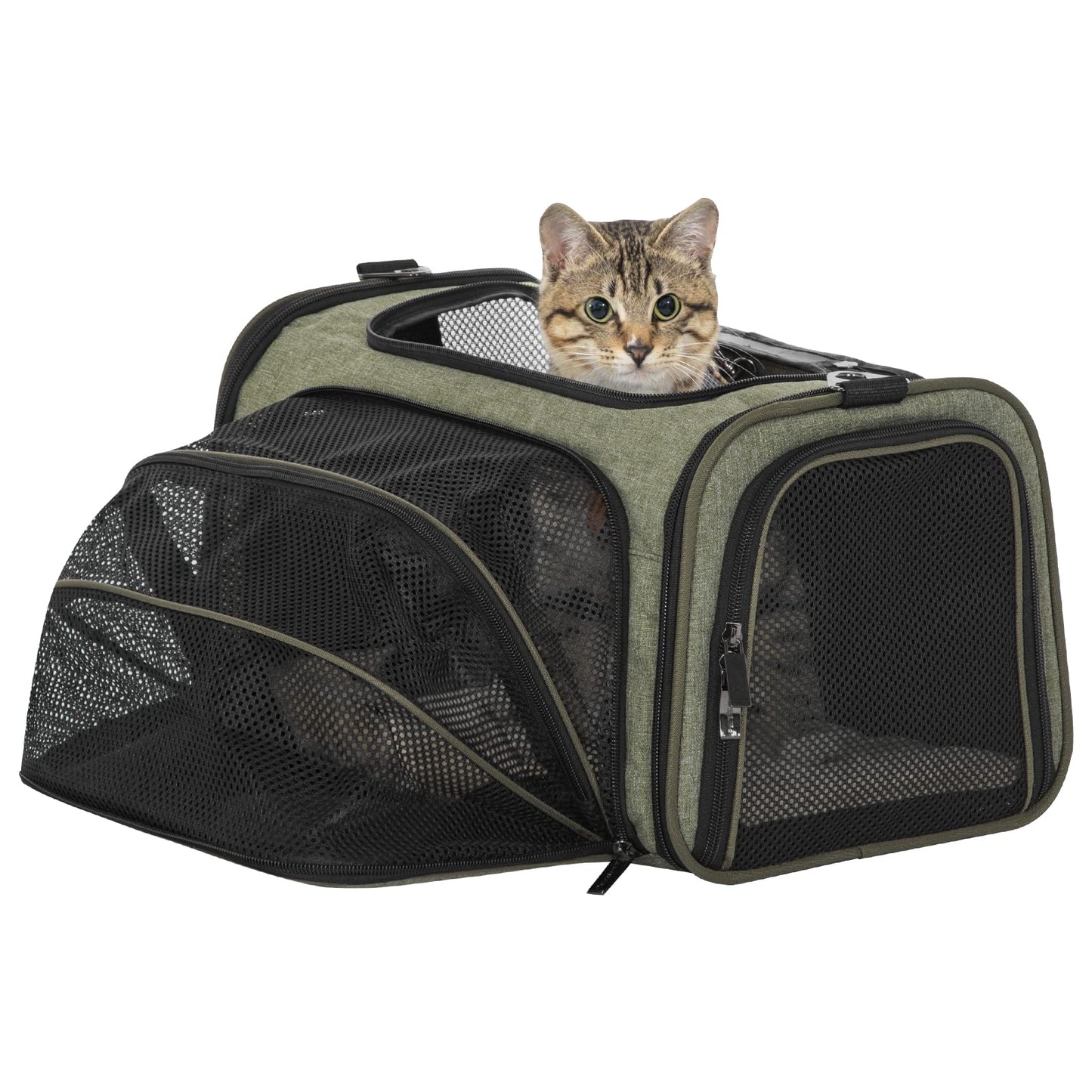 Petsfit Rabbit Carrier Bunny Carriers, Airline Approved Soft-Sided Pet Carrier for Guinea Pig/Cat/Dog/Kittens/Puppy, 16"x 10"x 9"