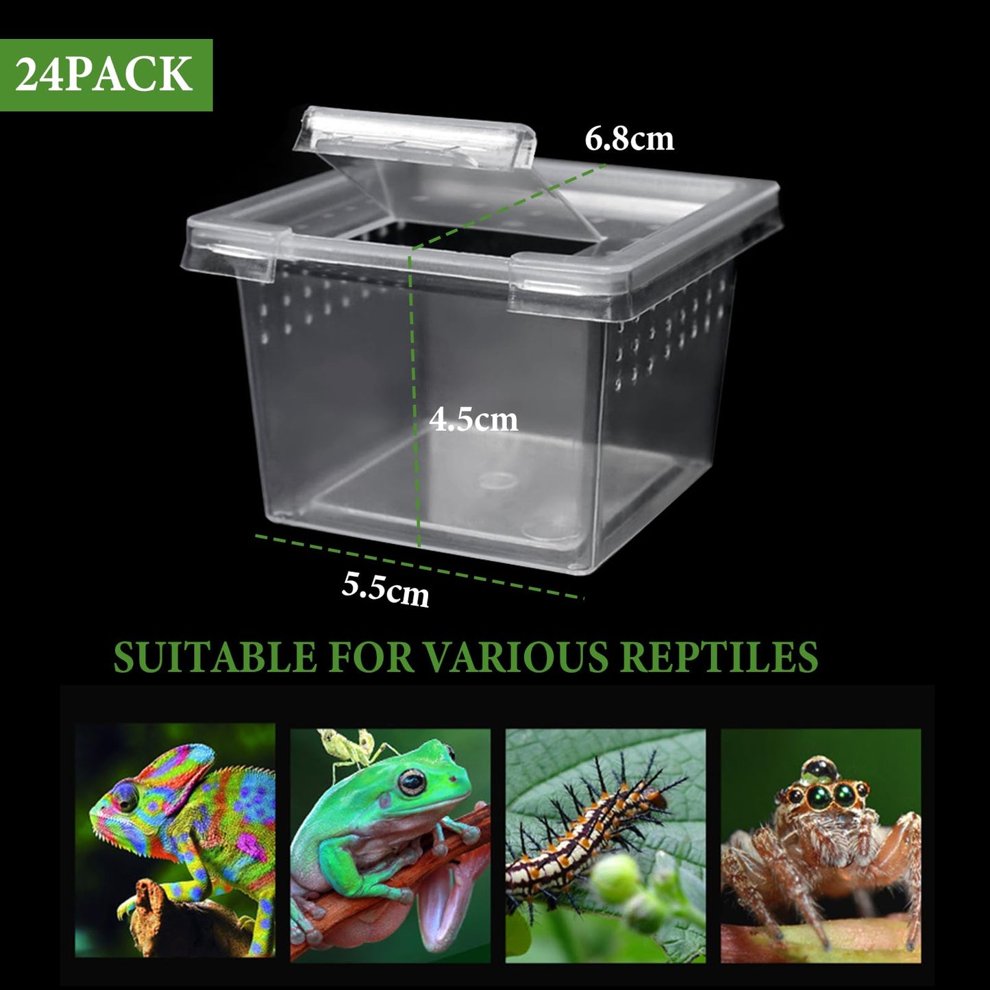 Auch 24 Pcs Insect Spider Terrariums Breeding Box Small Reptile Hatching Container Transparent Cricket Keeper Breeder Box Feeding Spider Cage with Lid for Scorpion Gecko Tortoise (24 Pcs Insect Boxes)