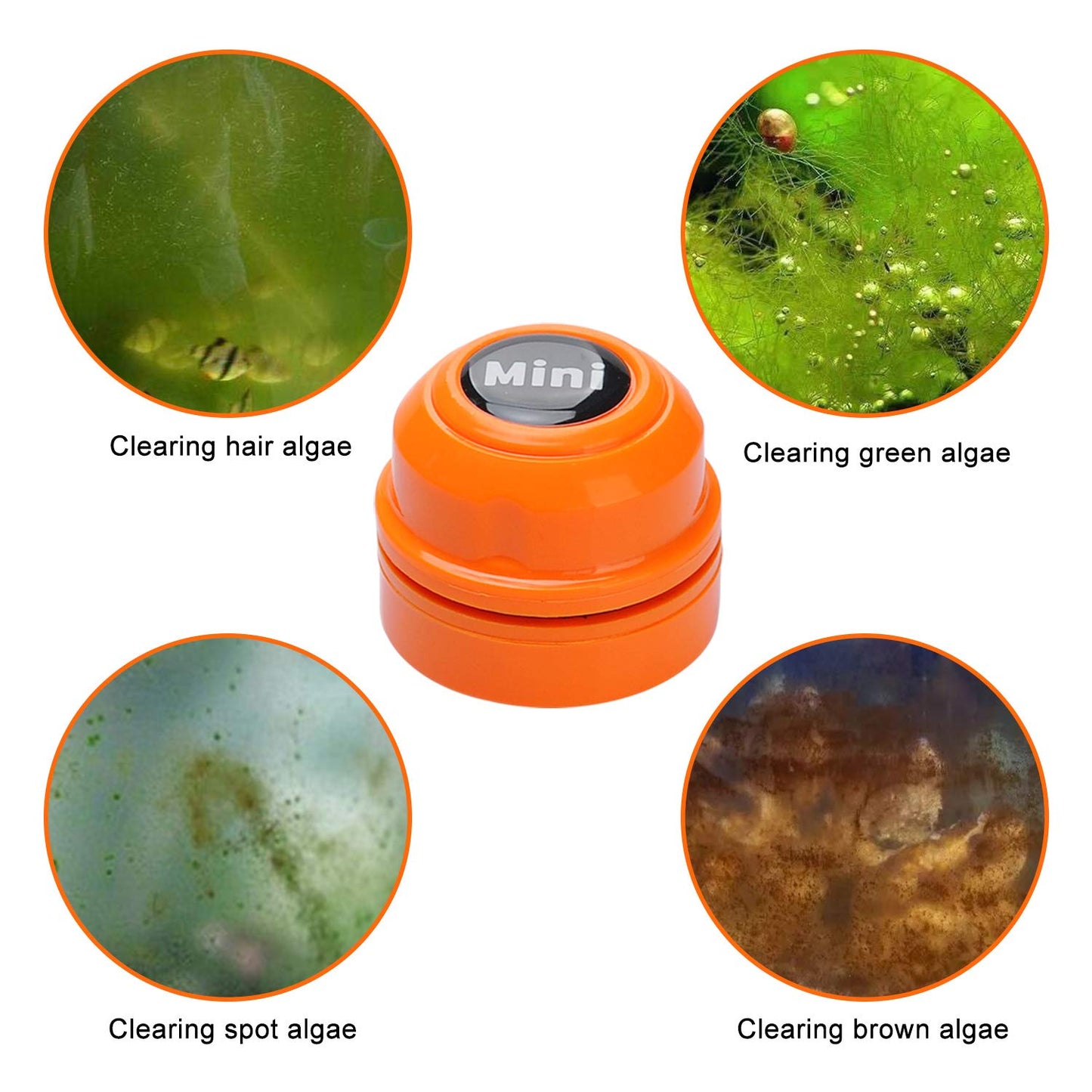 TOP Star Mini Magnet Fish Tank Brush, Aquarium Cleaner, Fish Tank Glass Cleaner, Mini Portable Durable Magnet, Cleaning for Fish Tank and Algae Removal (Green)