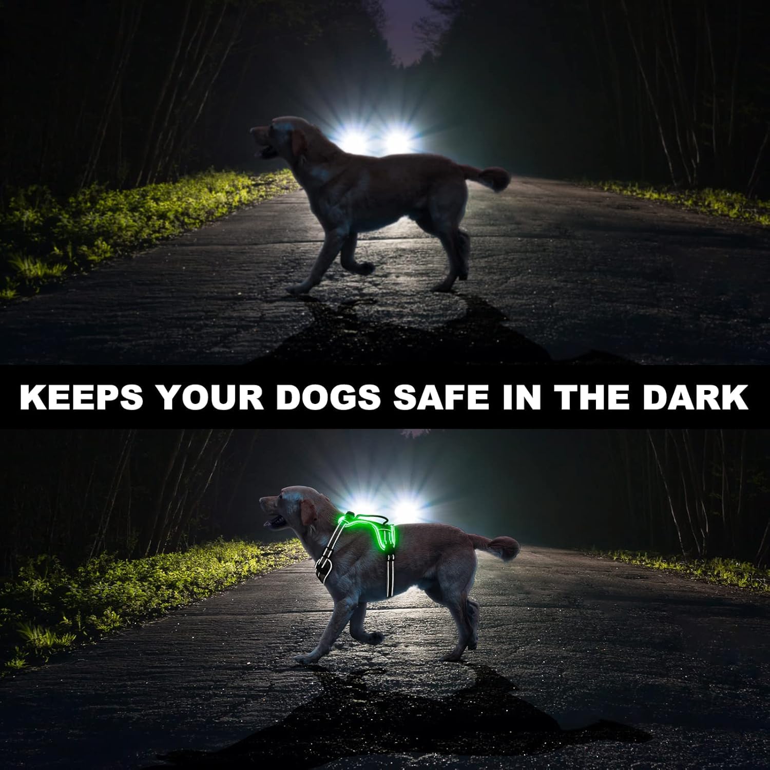 Light Up Dog Harness No Pull, LED Dog Harness with Soft Handle Rechargeable, Lighted Glowing Pet Vest Harness for Large Dogs Night Walking, Reflective/4 Point Adjustable/High Visibility - Orange, L Furr-Reel