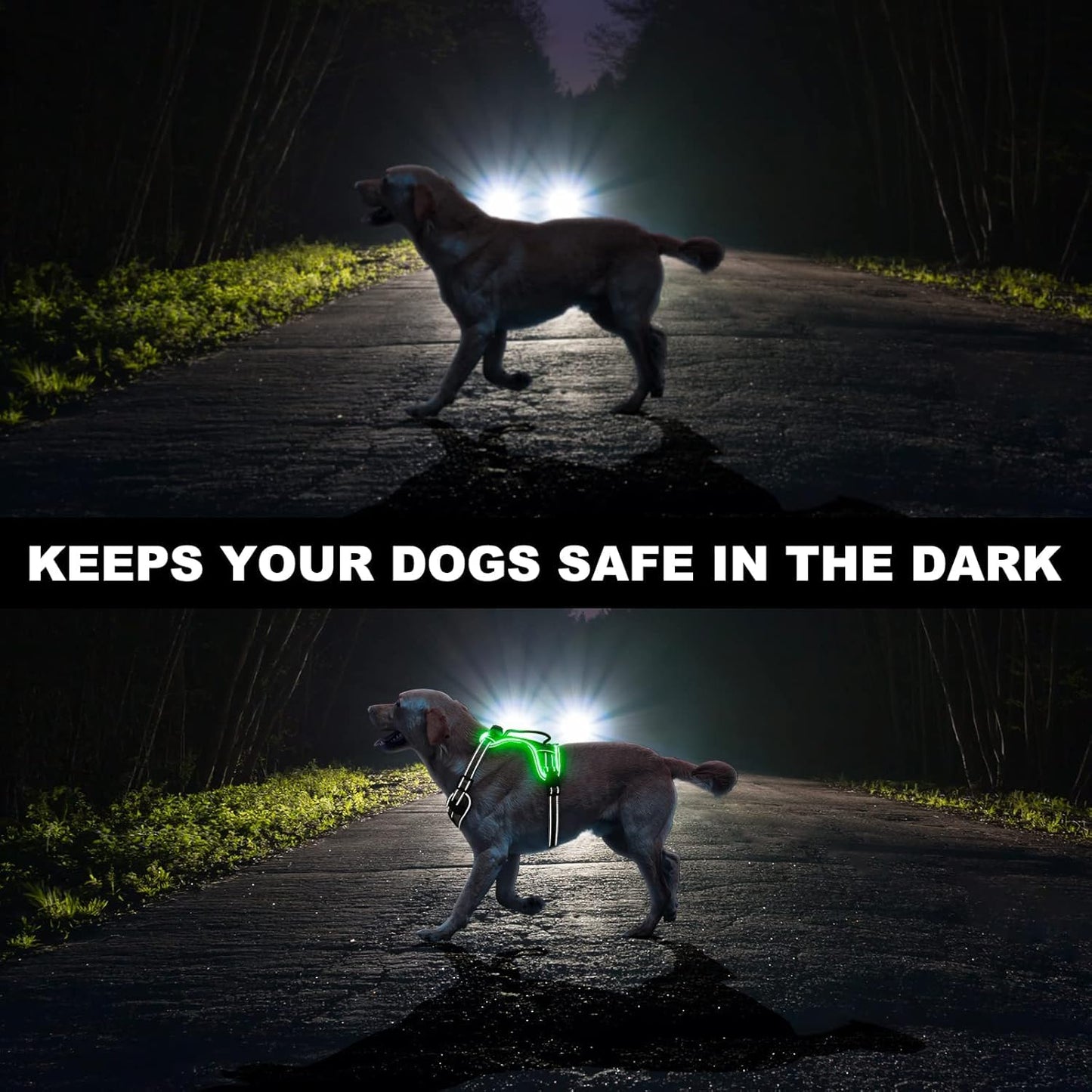 Light Up Dog Harness No Pull, LED Dog Harness with Soft Handle Rechargeable, Lighted Glowing Pet Vest Harness for Large Dogs Night Walking, Reflective/4 Point Adjustable/High Visibility - Orange, L Furr-Reel