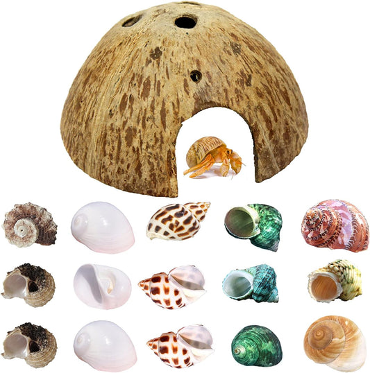 Hermit Crab Shell Growth Seashells 15 PCS (7 Types) Natural Coconut Shells Hut for Fish Tank Decor Hide Reptile Hideouts