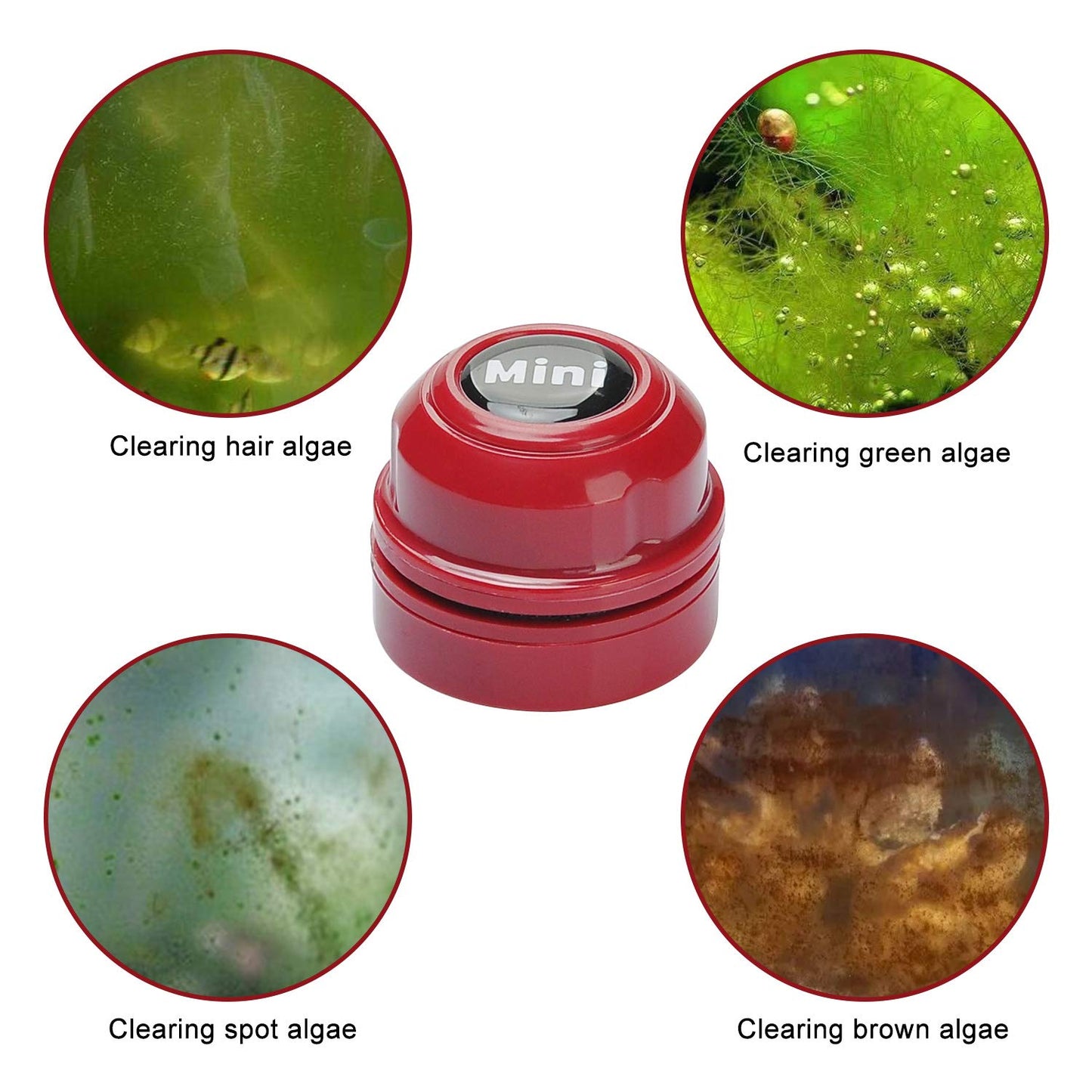 TOP Star Mini Magnet Fish Tank Brush, Aquarium Cleaner, Fish Tank Glass Cleaner, Mini Portable Durable Magnet, Cleaning for Fish Tank and Algae Removal (Green)