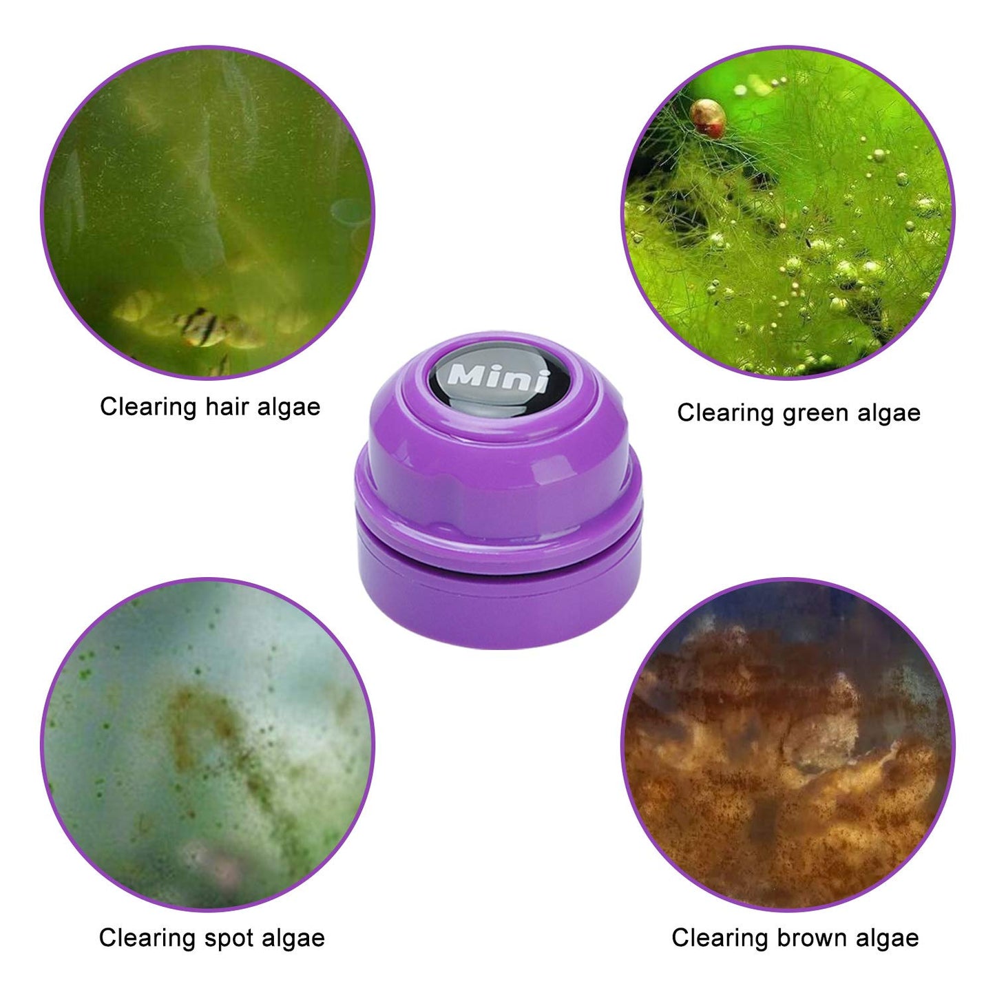 TOP Star Mini Magnet Fish Tank Brush, Aquarium Cleaner, Fish Tank Glass Cleaner, Mini Portable Durable Magnet, Cleaning for Fish Tank and Algae Removal (Green)