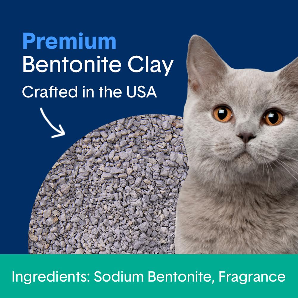 Boxie® Unscented 30 Day Odour Control Clumping Clay Cat & Kitty Litter 16 lb, 99.9% Dust-Free, Hard Flat Top® Clumps, No Fragrances No Fillers, Long-Lasting, Easy to Scoop