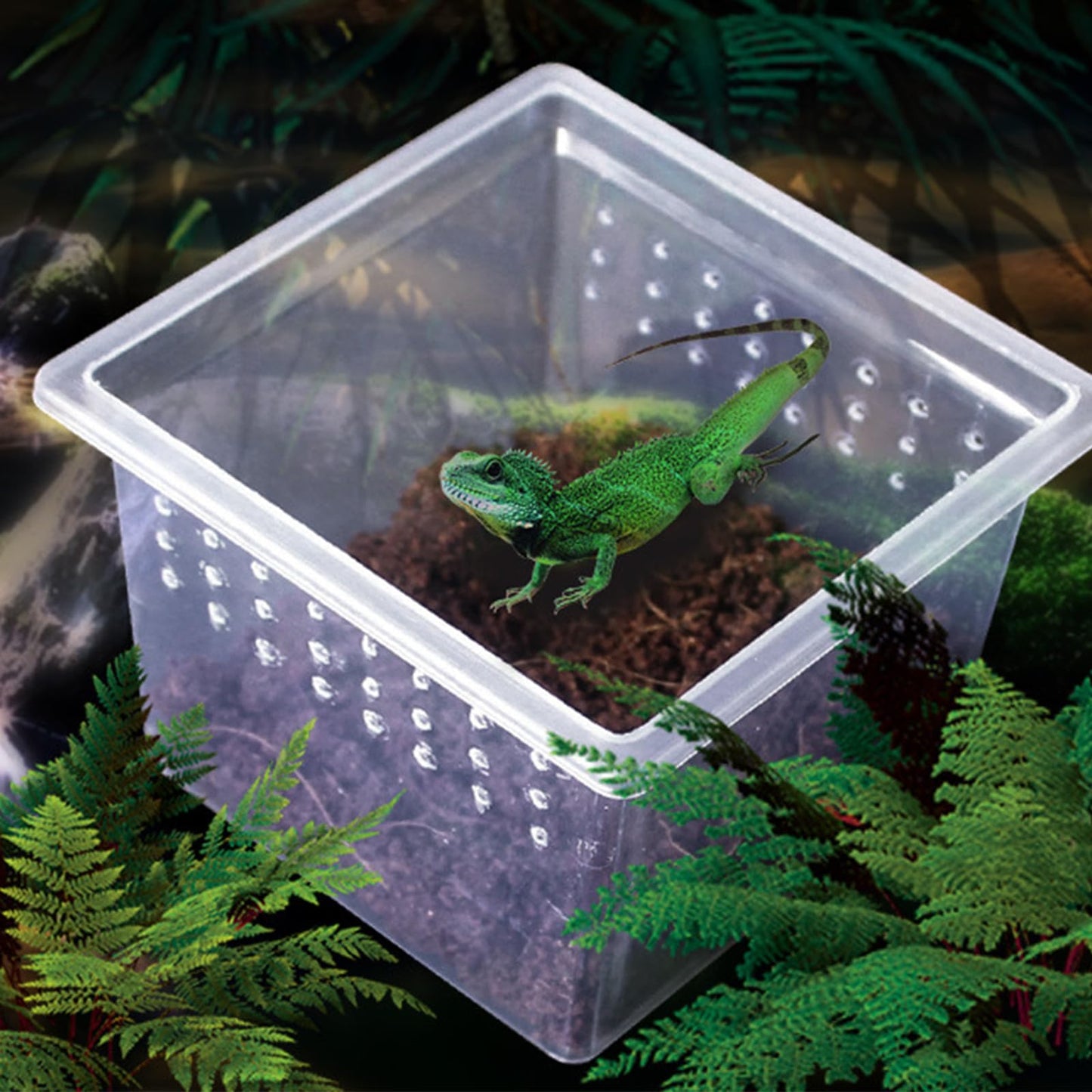 Auch 24 Pcs Insect Spider Terrariums Breeding Box Small Reptile Hatching Container Transparent Cricket Keeper Breeder Box Feeding Spider Cage with Lid for Scorpion Gecko Tortoise (24 Pcs Insect Boxes)