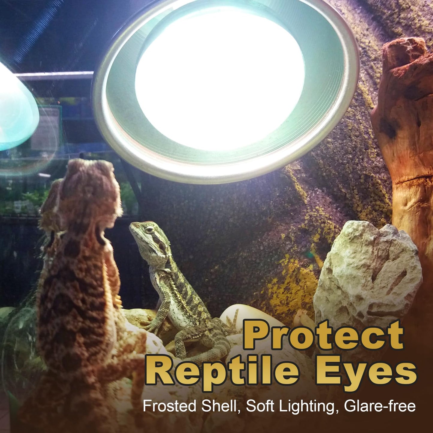 MIXJOY Reptile Heat Lamp, 2 Pack 100W Reptile Heat Lamp Bulbs, UVA Daylight Basking Spot Light for Reptiles and Amphibians - Lizard, Tortoise, Bearded Dragon