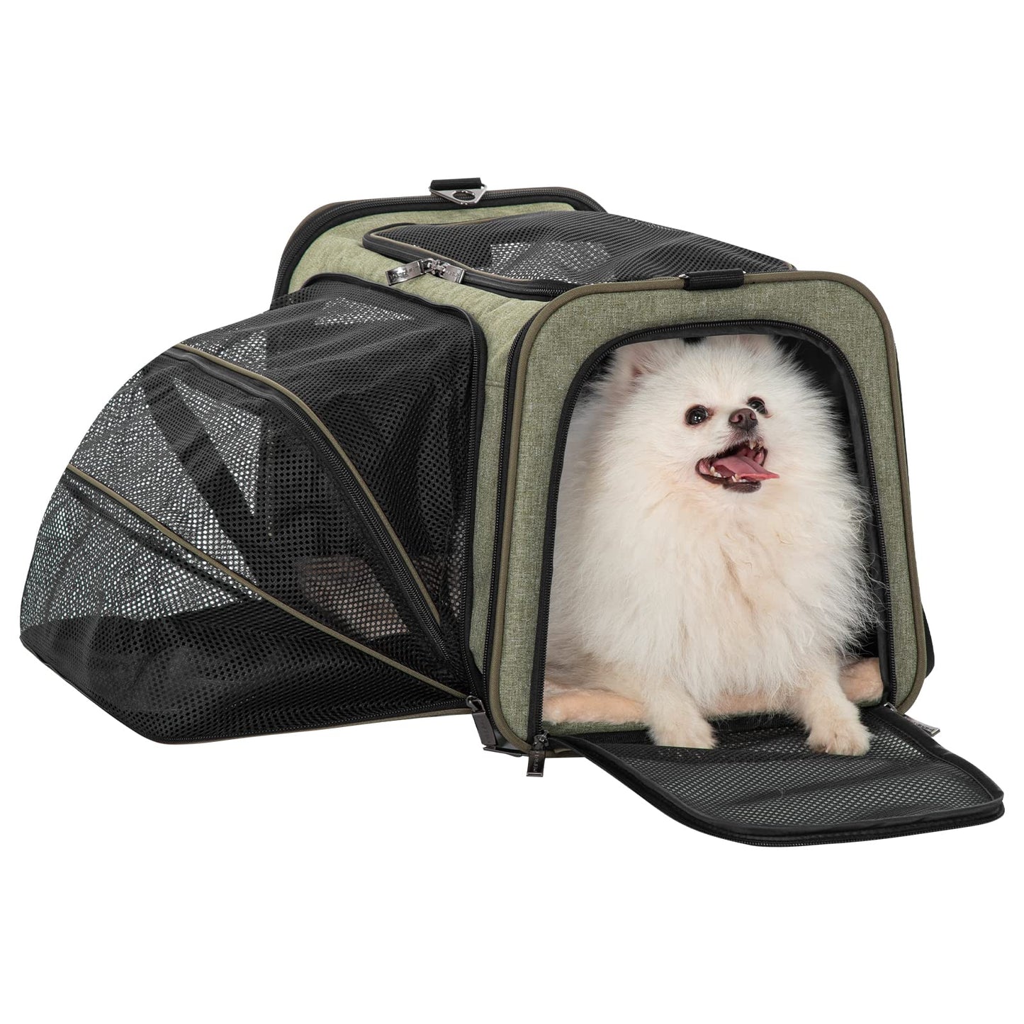 Petsfit Rabbit Carrier Bunny Carriers, Airline Approved Soft-Sided Pet Carrier for Guinea Pig/Cat/Dog/Kittens/Puppy, 16"x 10"x 9"