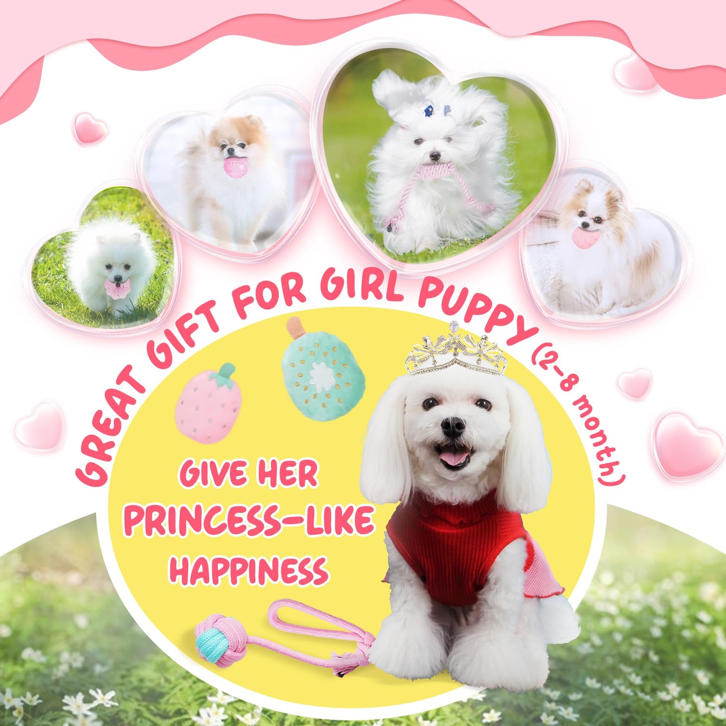 KIPRITII Dog Toys for Puppy Teething - 23 Pack Puppy Teething Toys for Boredom, Pet Dog Toothbrush Dog Toys with Rope Toys, Dog Treat Ball and More Squeaky Toy for Puppies and Small Dogs