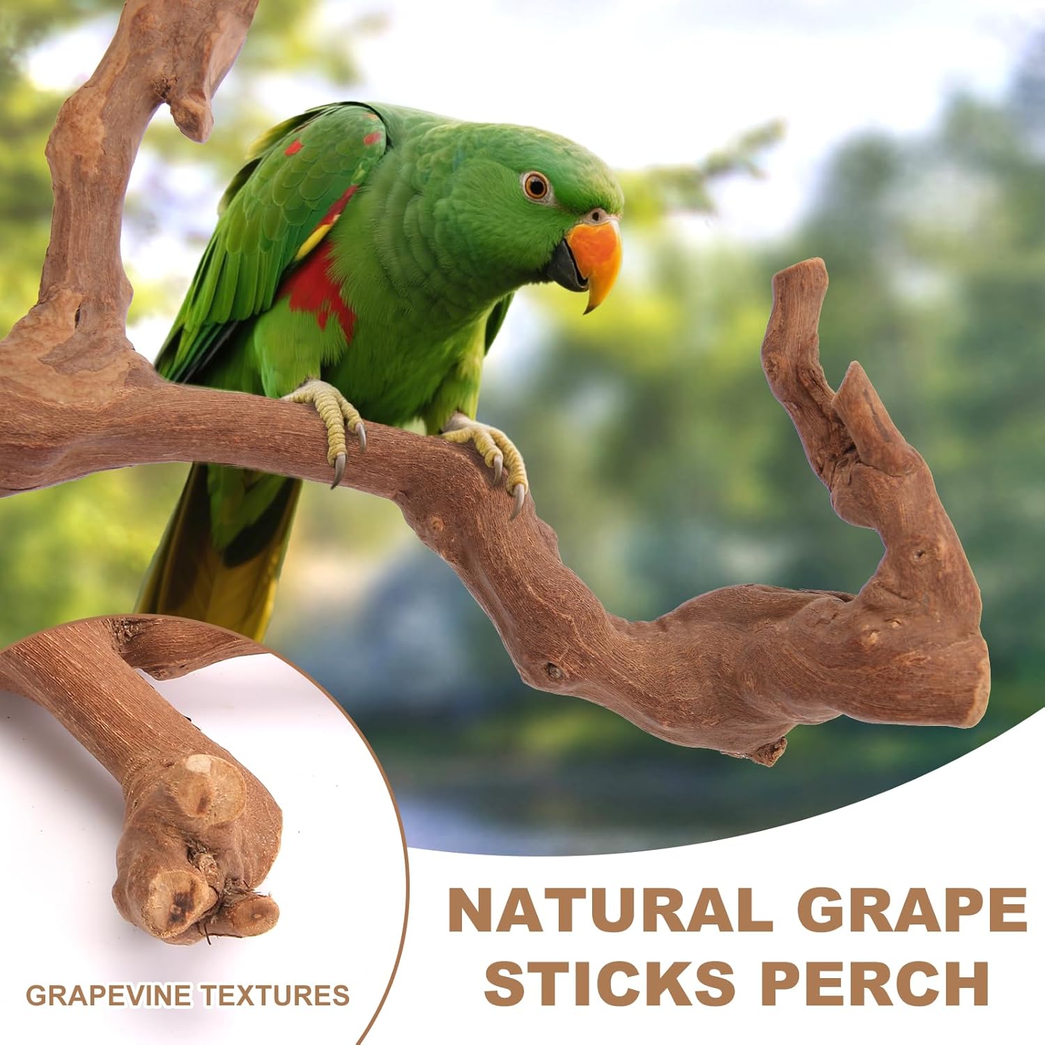 Parrot Perch Bird Perch Stand Set Natural Wild Wood Grape Sticks Paw Grinding Fork Parakeet Climbing Standing Branches Toys Cage Accessories for Conure,Cockatiels Lovebirds,Budgies Chewable 6PC Furr-Reel