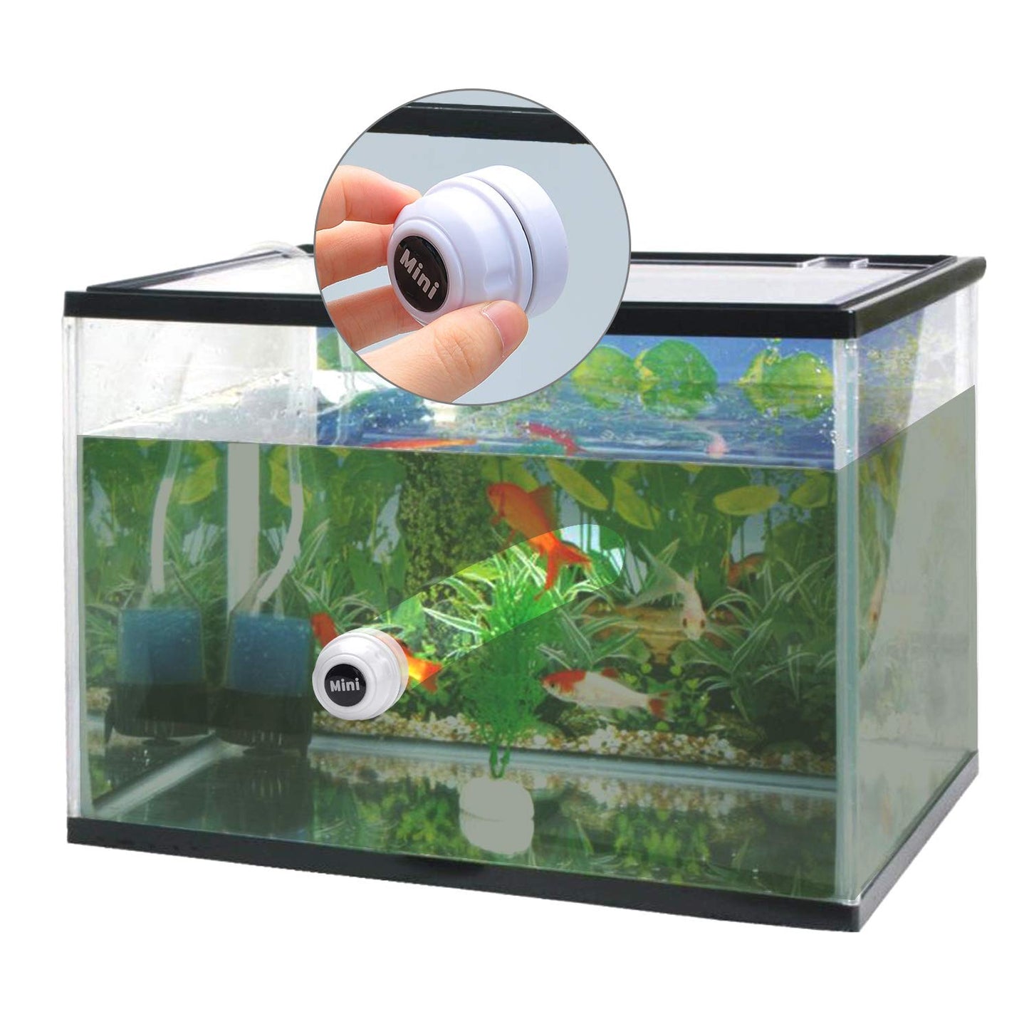 TOP Star Mini Magnet Fish Tank Brush, Aquarium Cleaner, Fish Tank Glass Cleaner, Mini Portable Durable Magnet, Cleaning for Fish Tank and Algae Removal (Green)