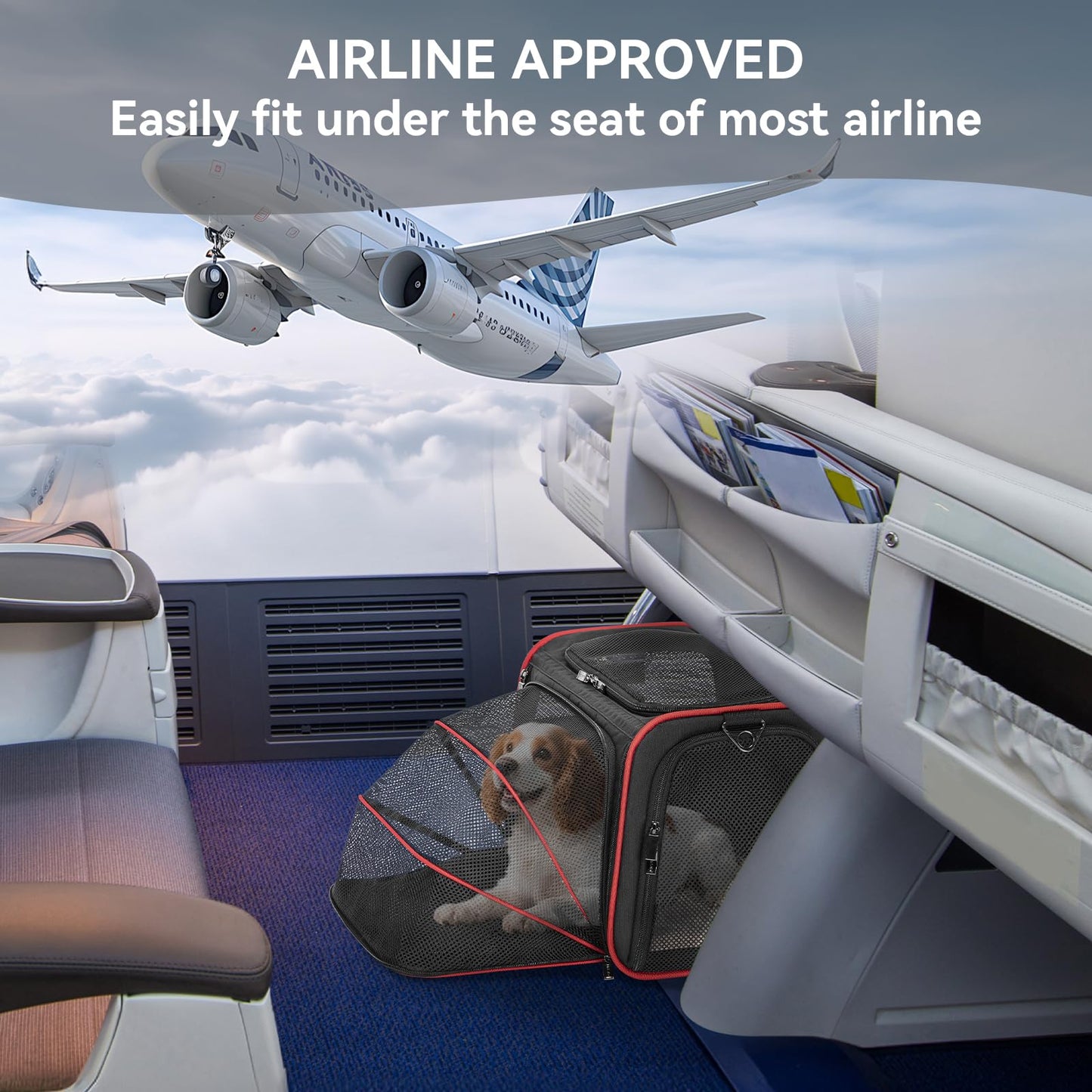 Petsfit Rabbit Carrier Bunny Carriers, Airline Approved Soft-Sided Pet Carrier for Guinea Pig/Cat/Dog/Kittens/Puppy, 16"x 10"x 9"